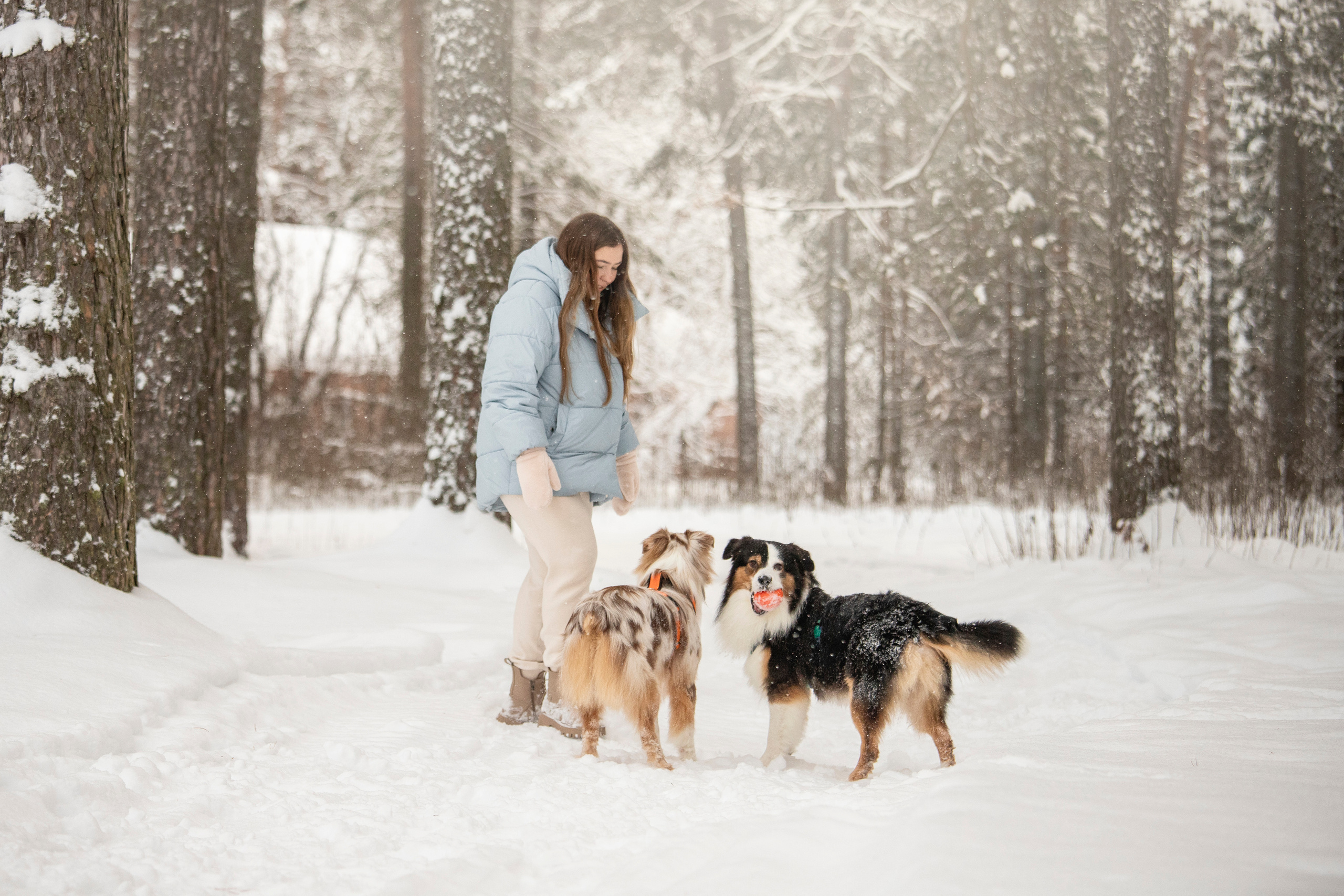 Делик, Скай и их семья. Фотограф — Анималист | Санкт-Петербург