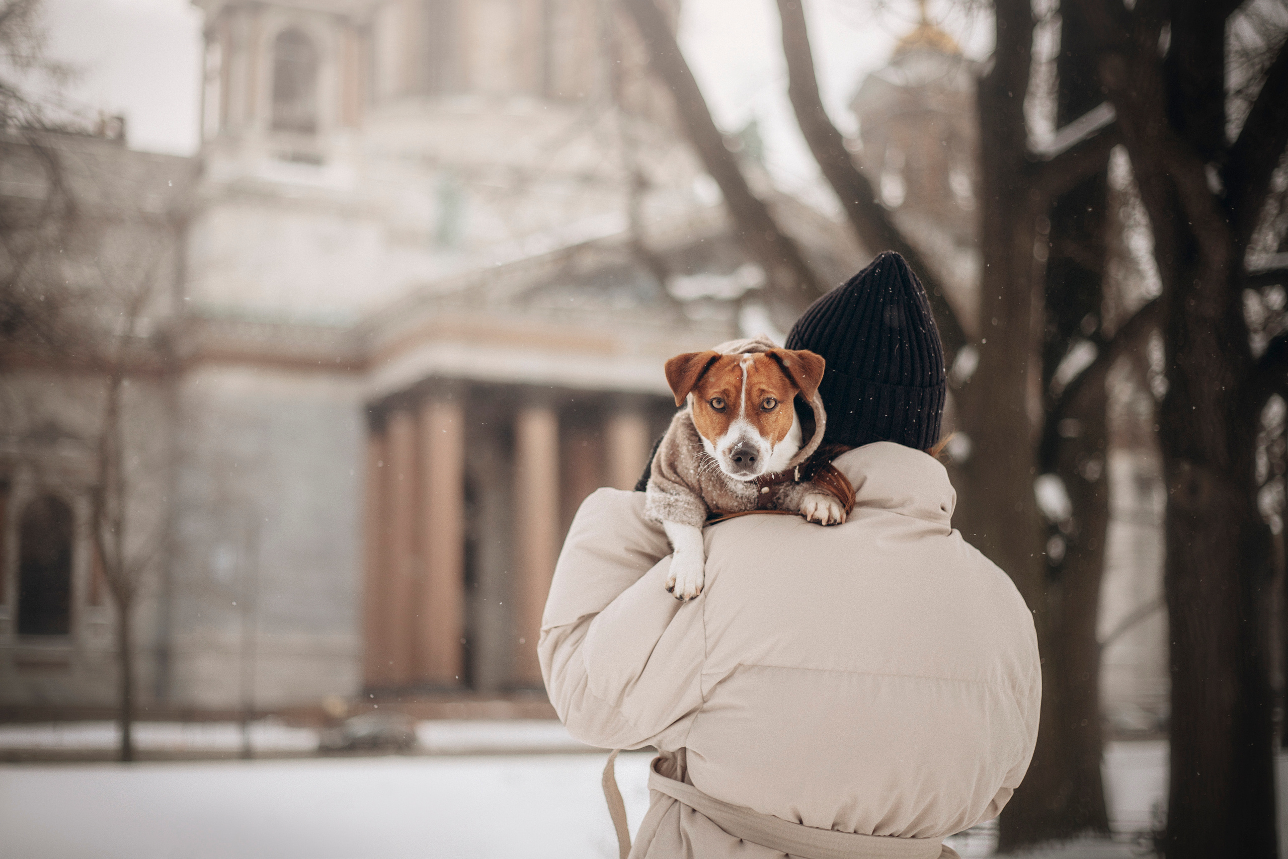 Даша и Бакс. Фотограф — Анималист | Санкт-Петербург