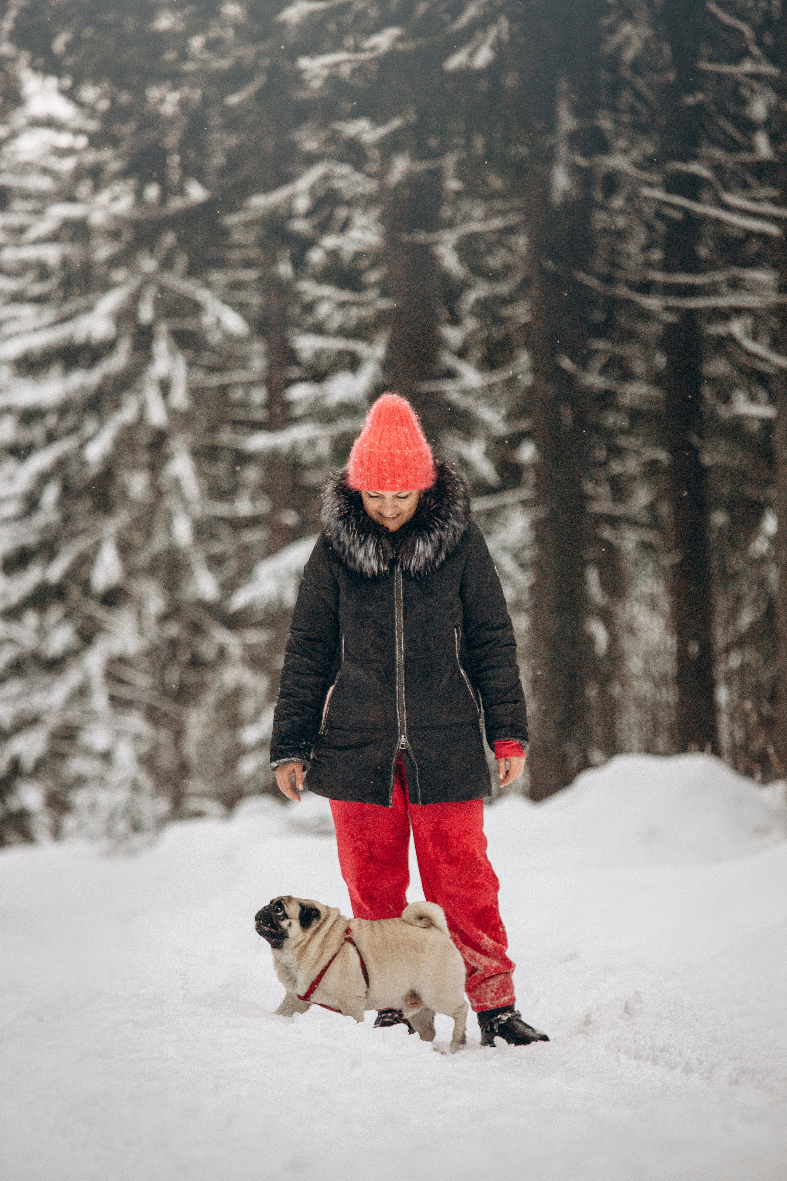 Марго, Степа и их семья. Фотограф — Анималист | Санкт-Петербург