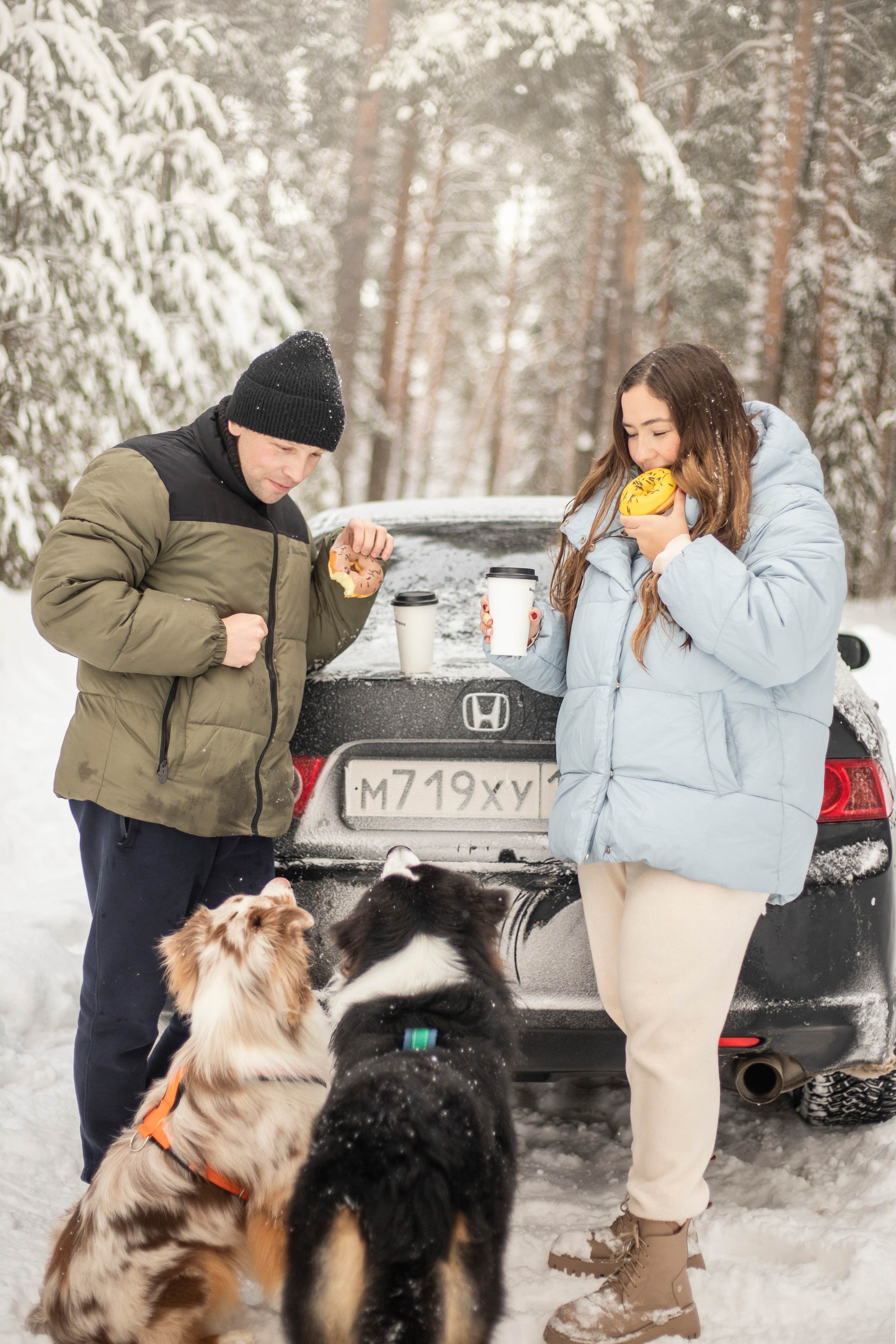 Делик, Скай и их семья. Фотограф — Анималист | Санкт-Петербург
