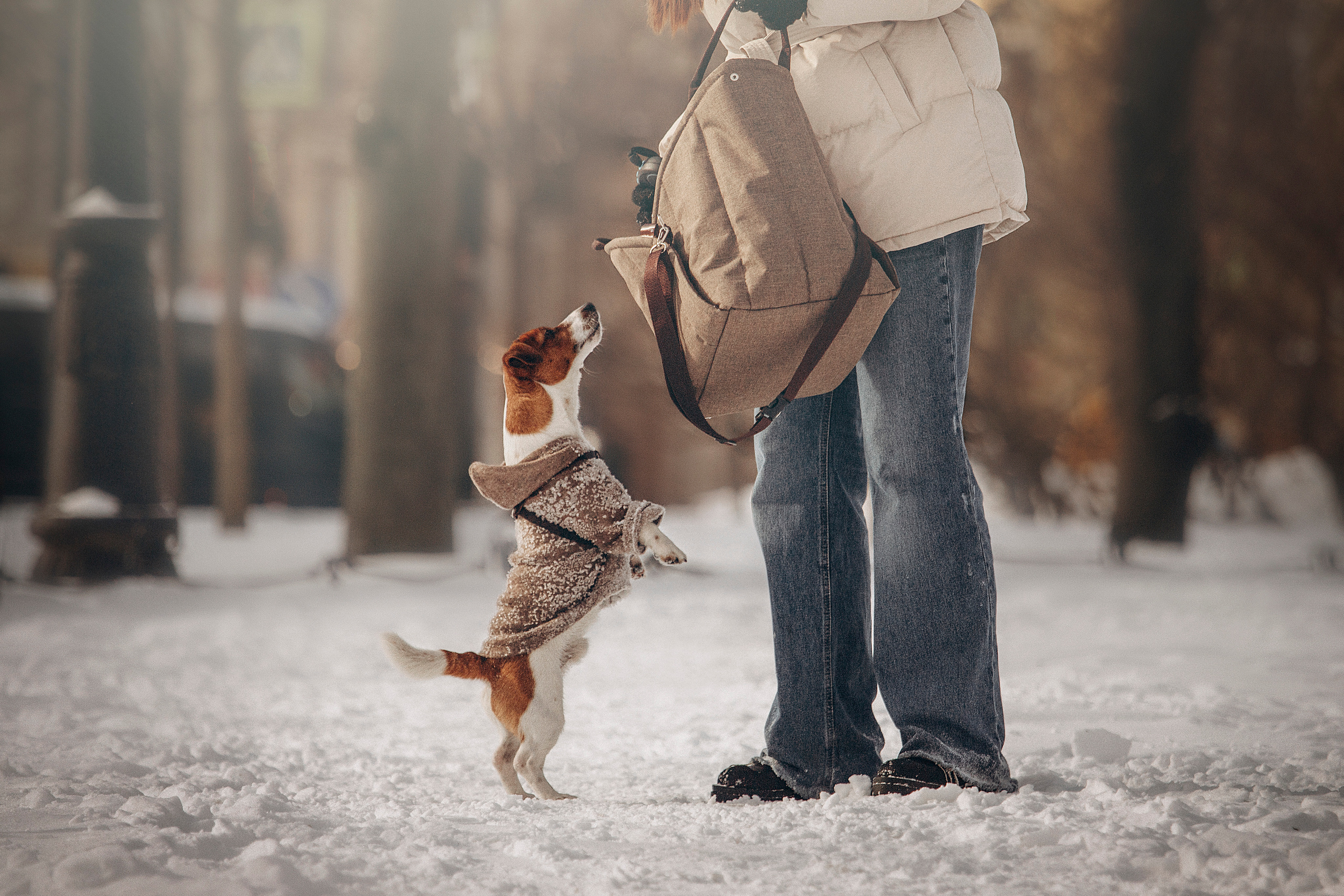 Даша и Бакс. Фотограф — Анималист | Санкт-Петербург