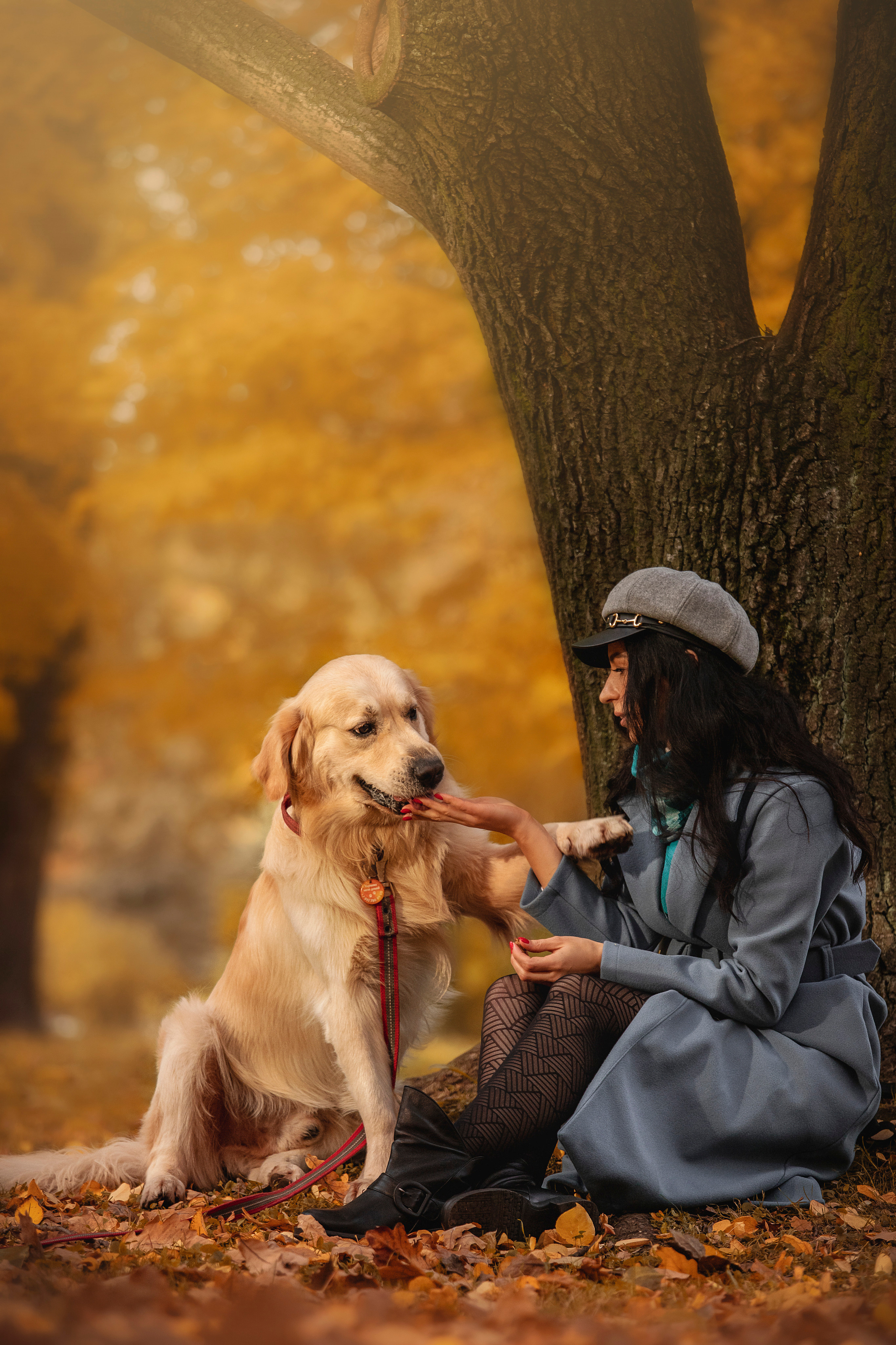 Лёвушка и его семья. Фотограф — Анималист | Санкт-Петербург