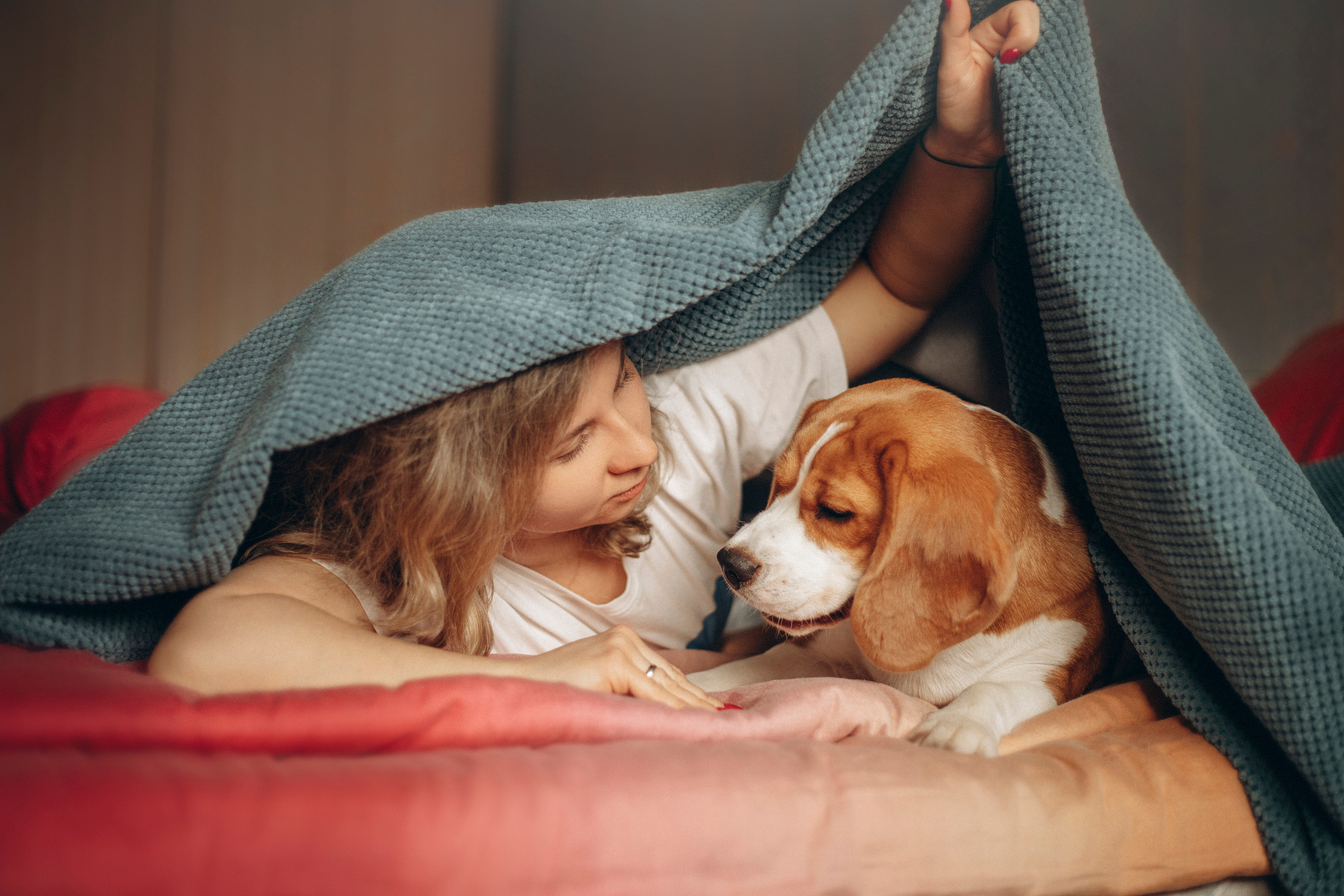 Полина и Бетти. Фотограф — Анималист | Санкт-Петербург