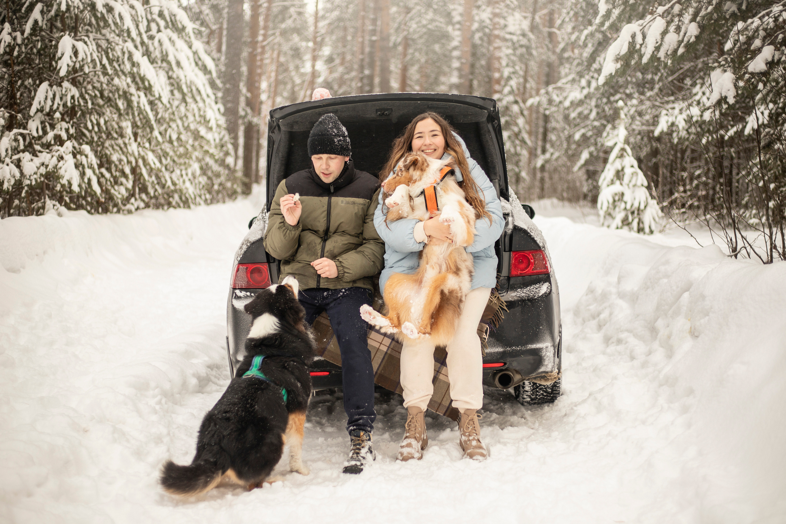 Делик, Скай и их семья. Фотограф — Анималист | Санкт-Петербург