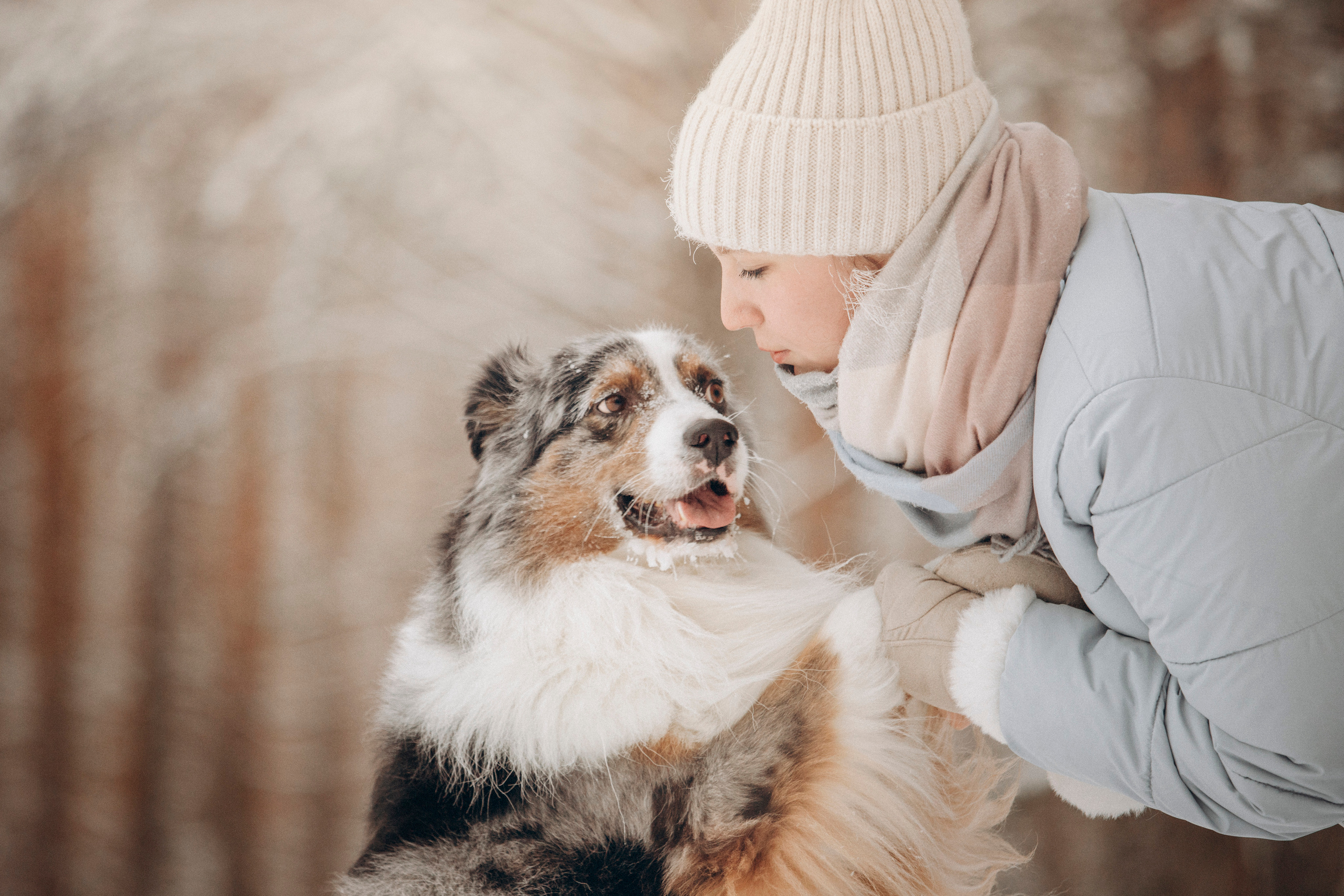 Айк и его семья. Фотограф — Анималист | Санкт-Петербург