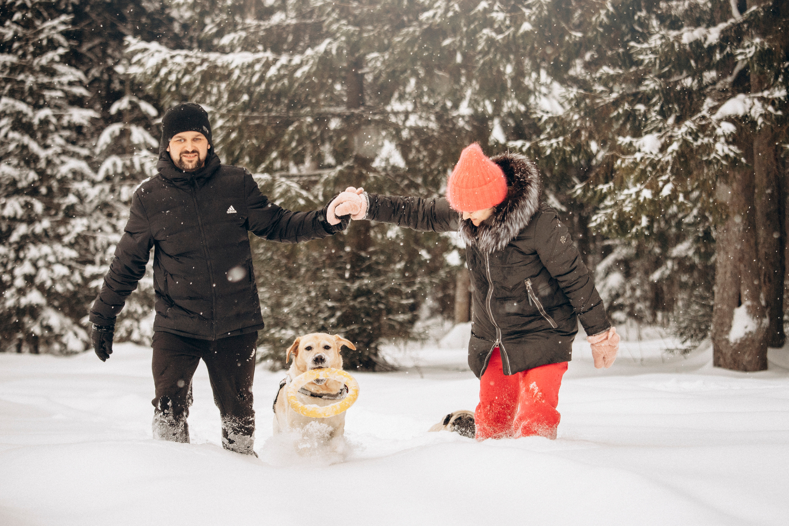 Марго, Степа и их семья. Фотограф — Анималист | Санкт-Петербург