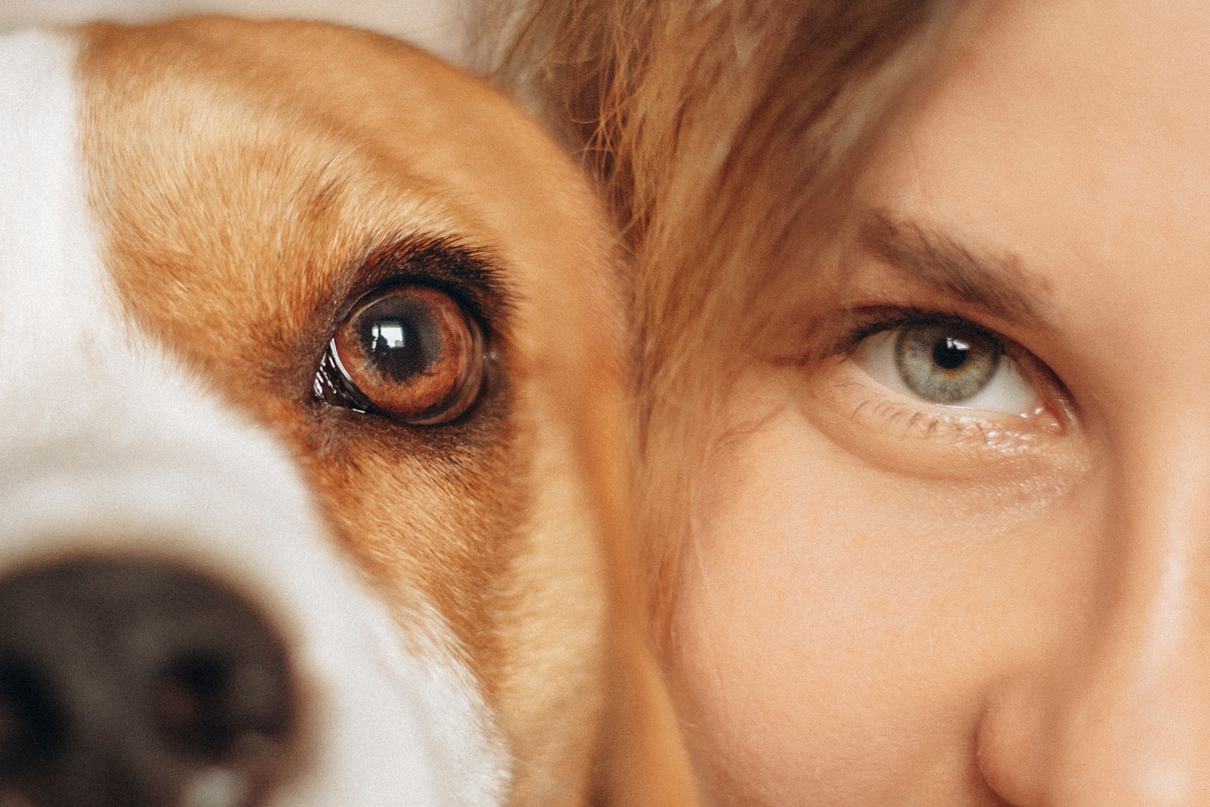 Полина и Бетти. Фотограф — Анималист | Санкт-Петербург