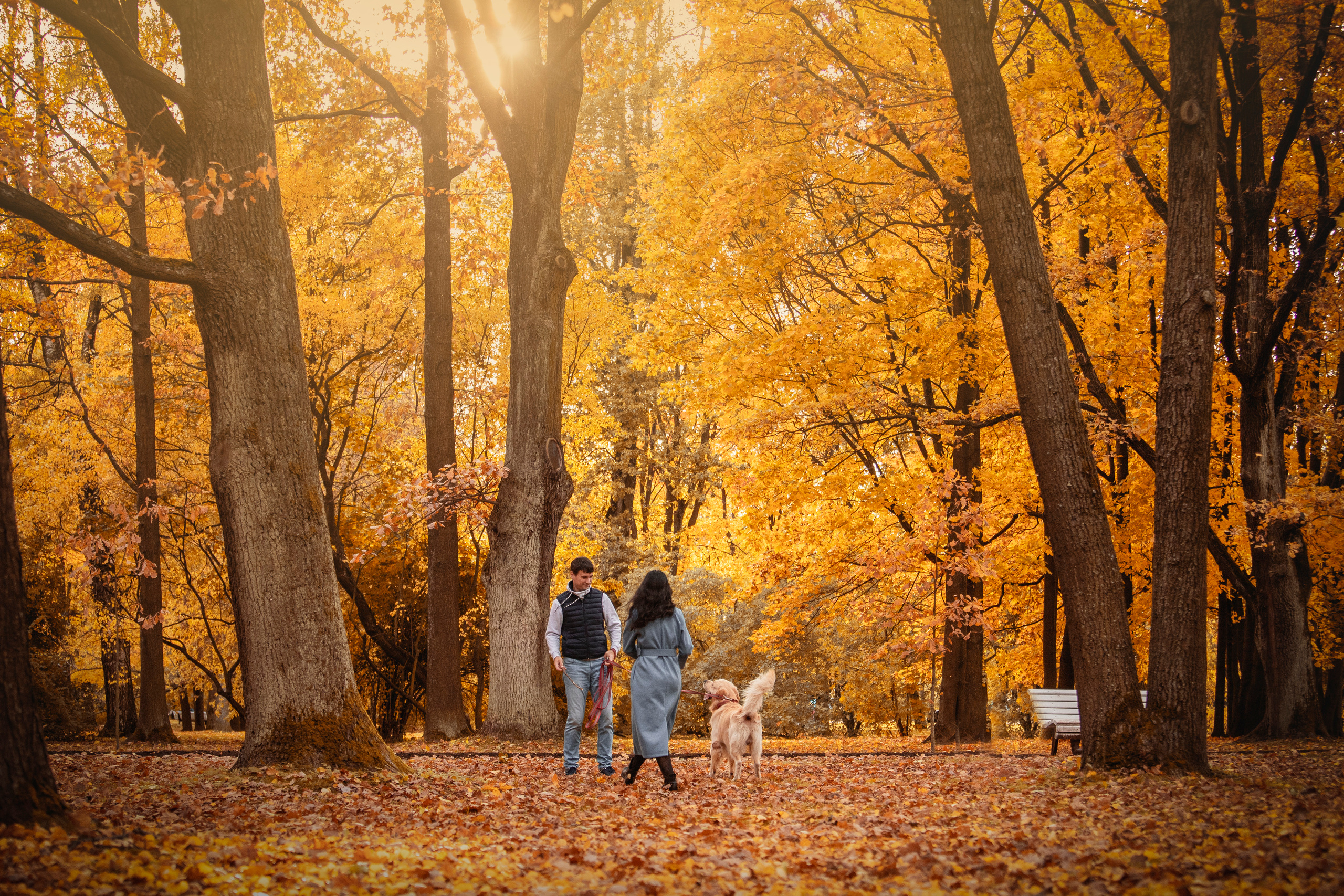 Лёвушка и его семья. Фотограф — Анималист | Санкт-Петербург