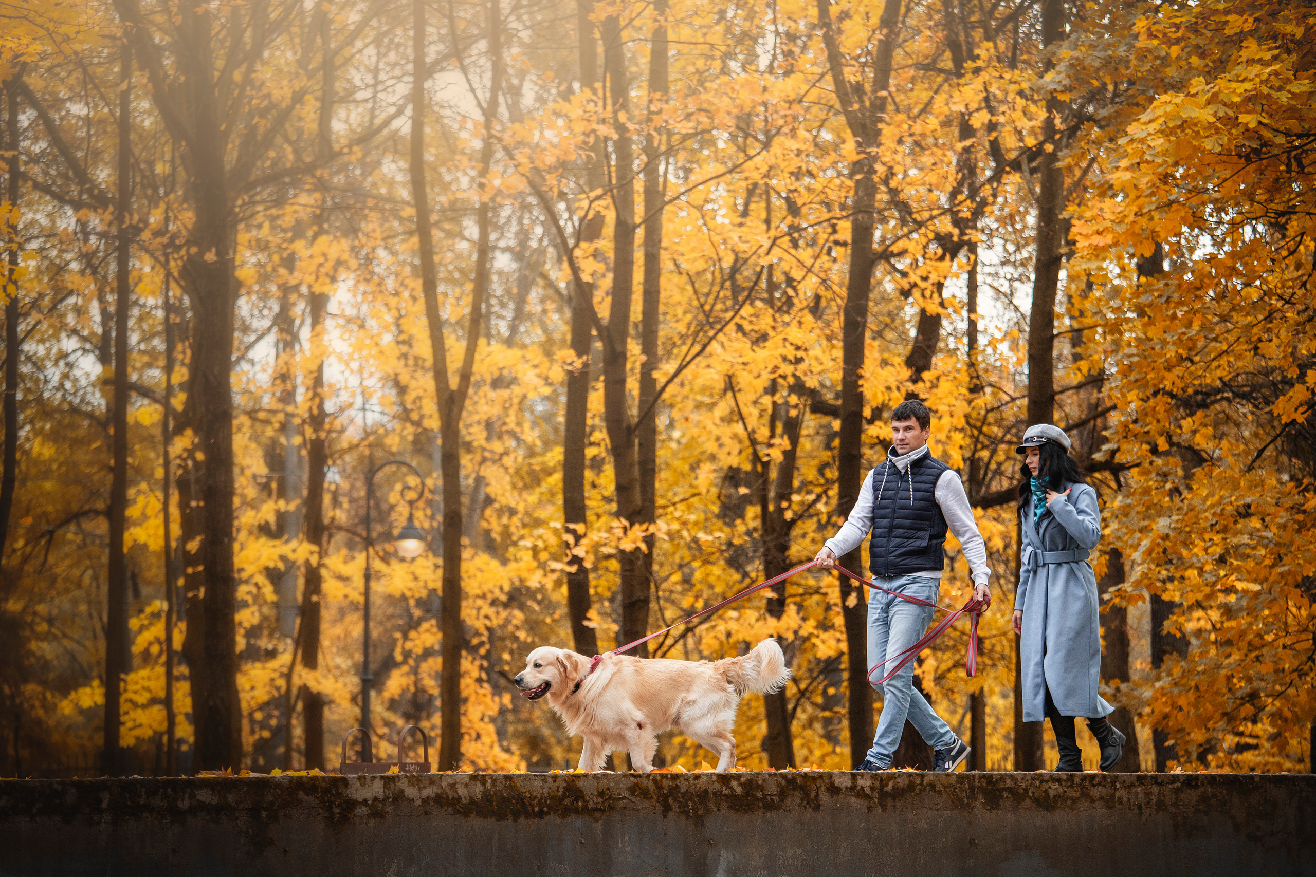 Лёвушка и его семья. Фотограф — Анималист | Санкт-Петербург