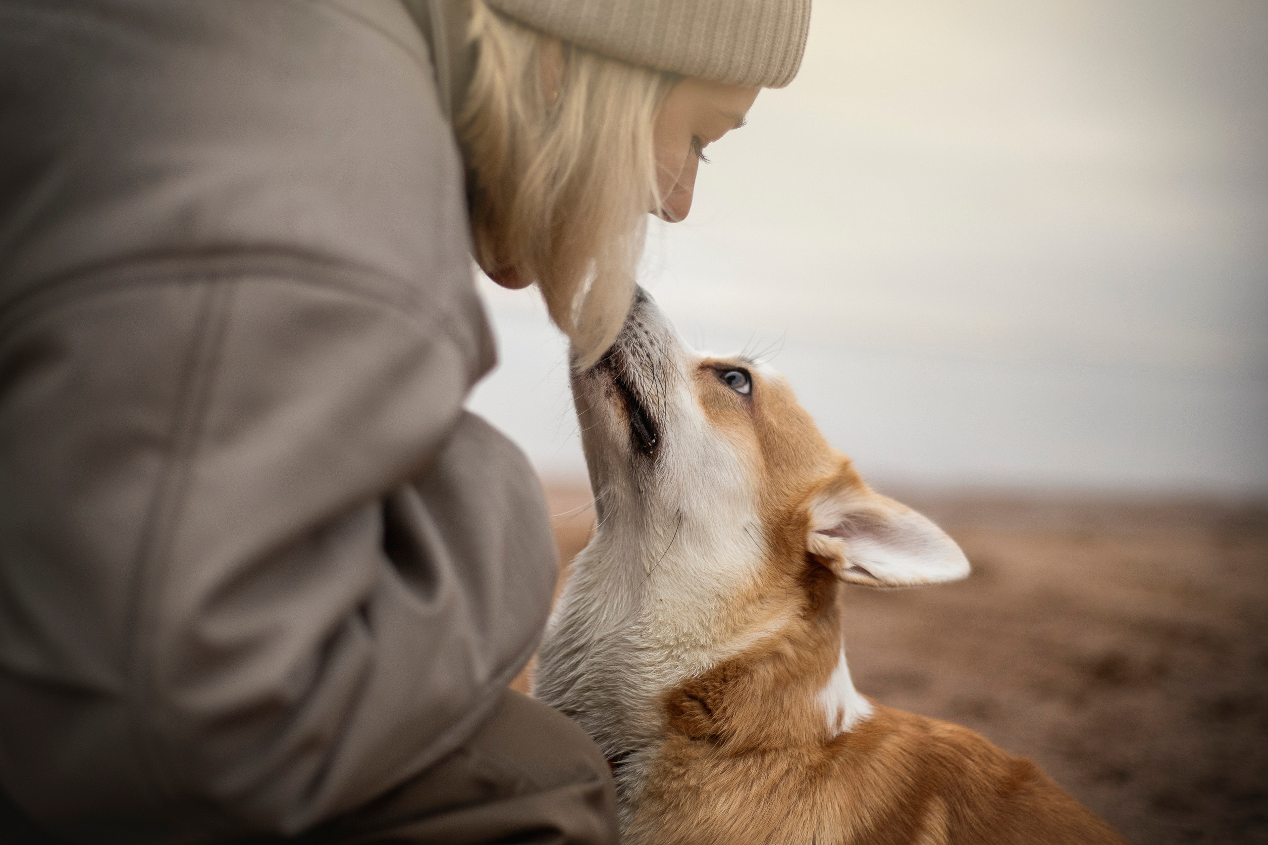 Барни и его семья. Фотограф — Анималист | Санкт-Петербург