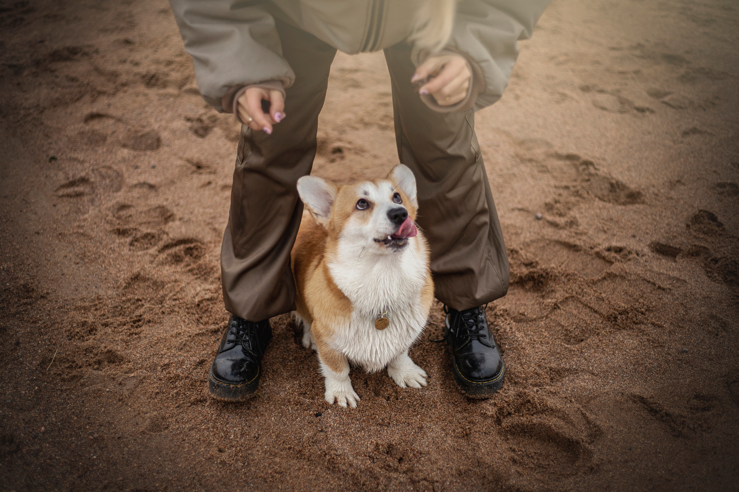 Барни и его семья. Фотограф — Анималист | Санкт-Петербург