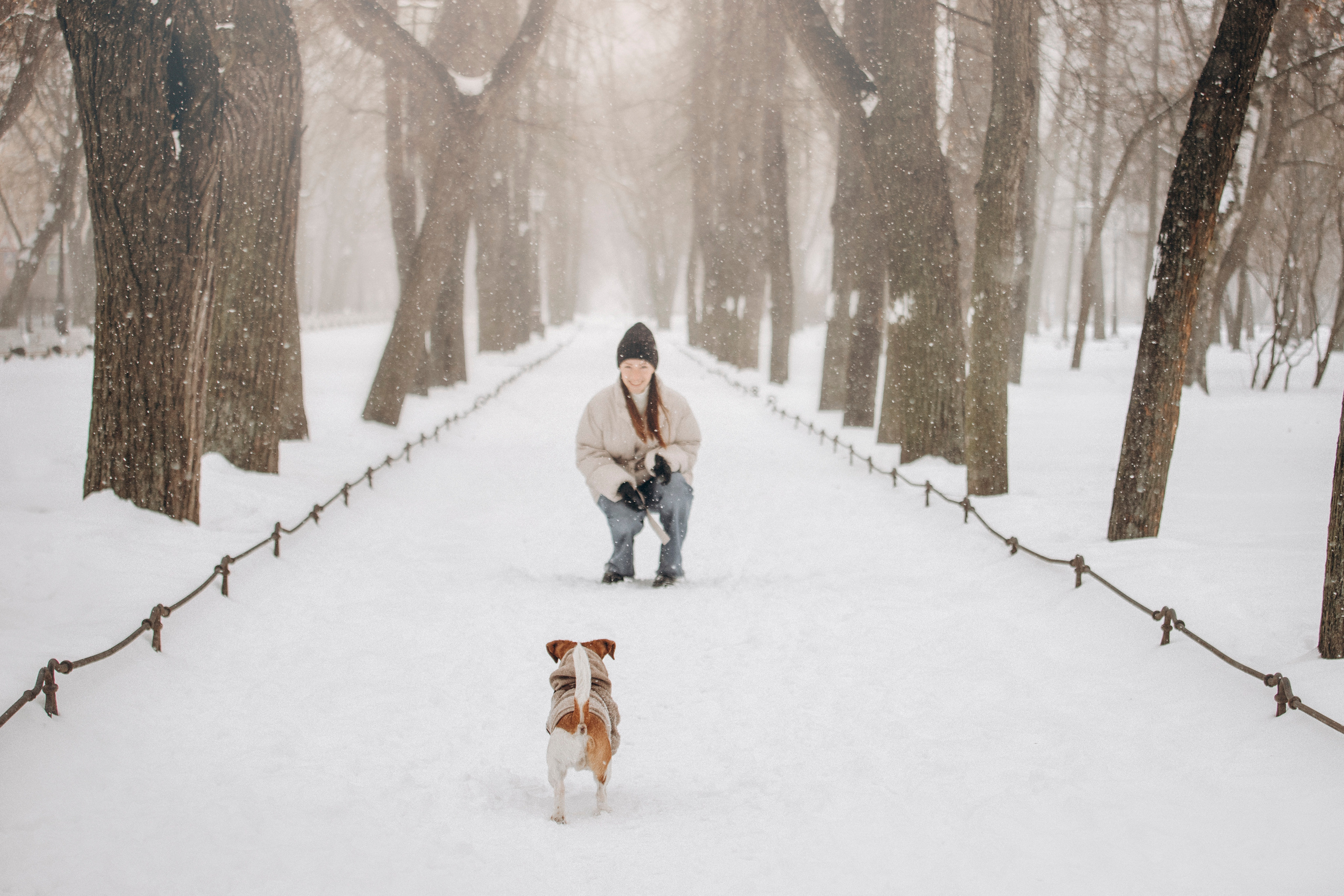 Даша и Бакс. Фотограф — Анималист | Санкт-Петербург