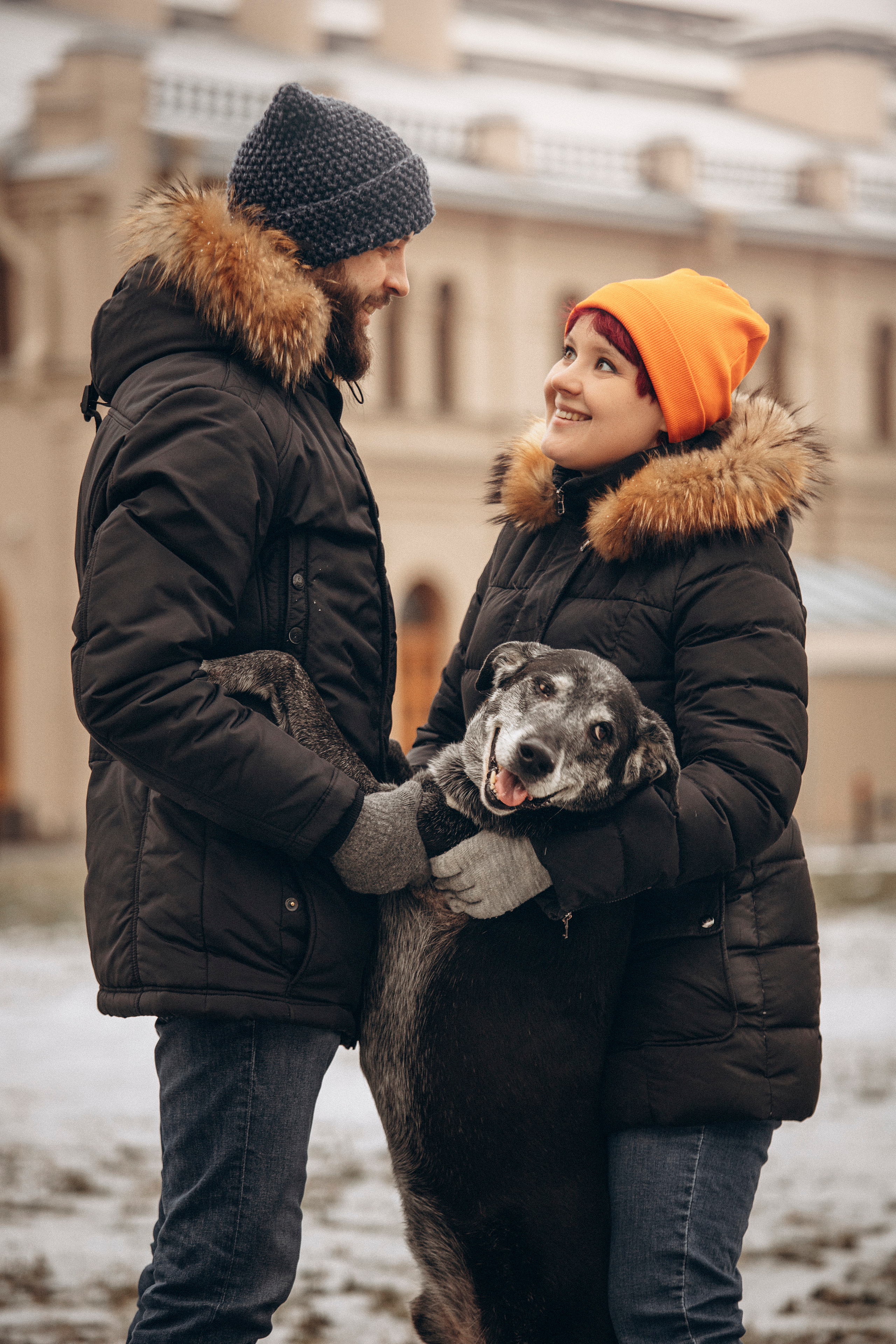Ангус и его семья. Фотограф — Анималист | Санкт-Петербург