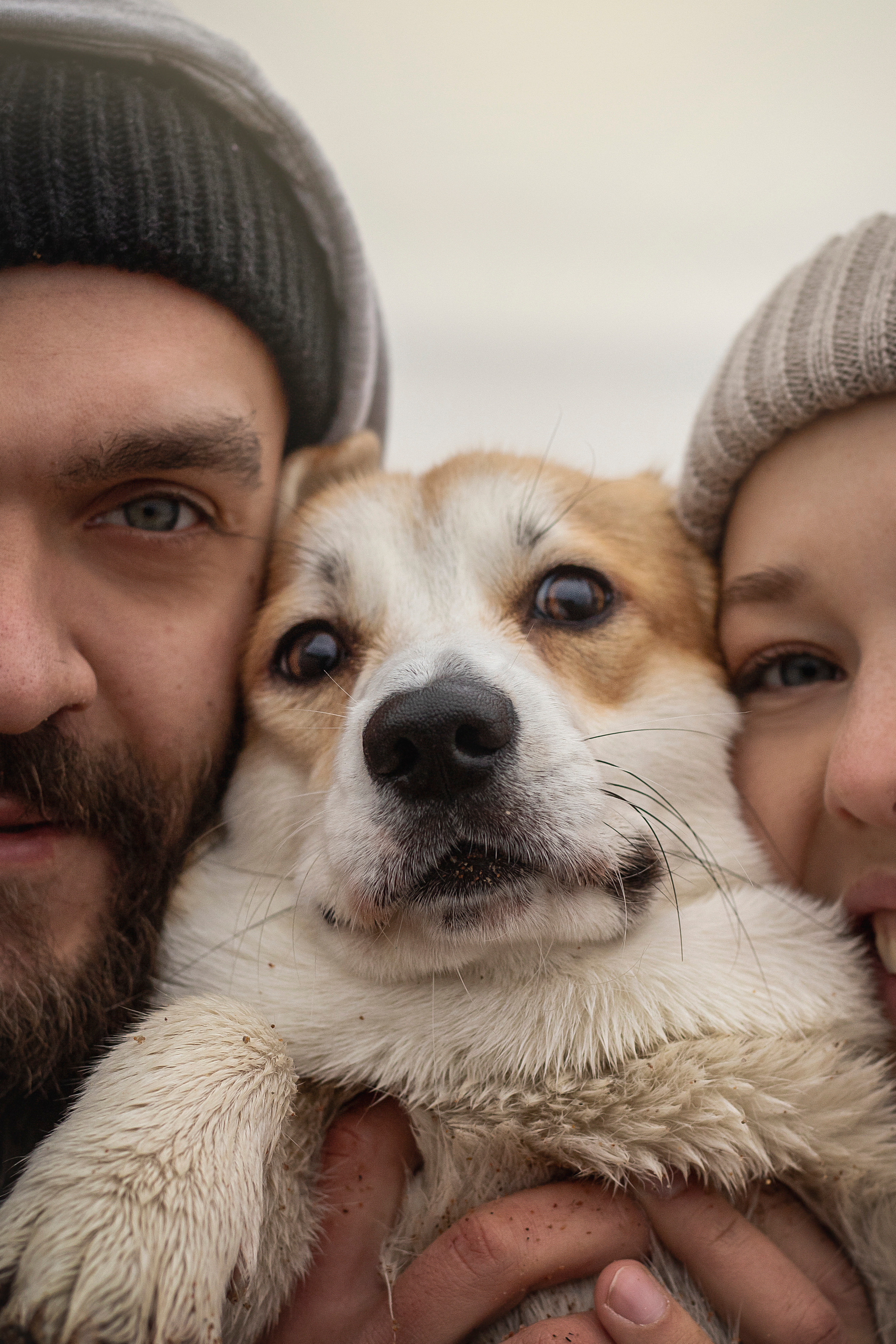 Барни и его семья. Фотограф — Анималист | Санкт-Петербург