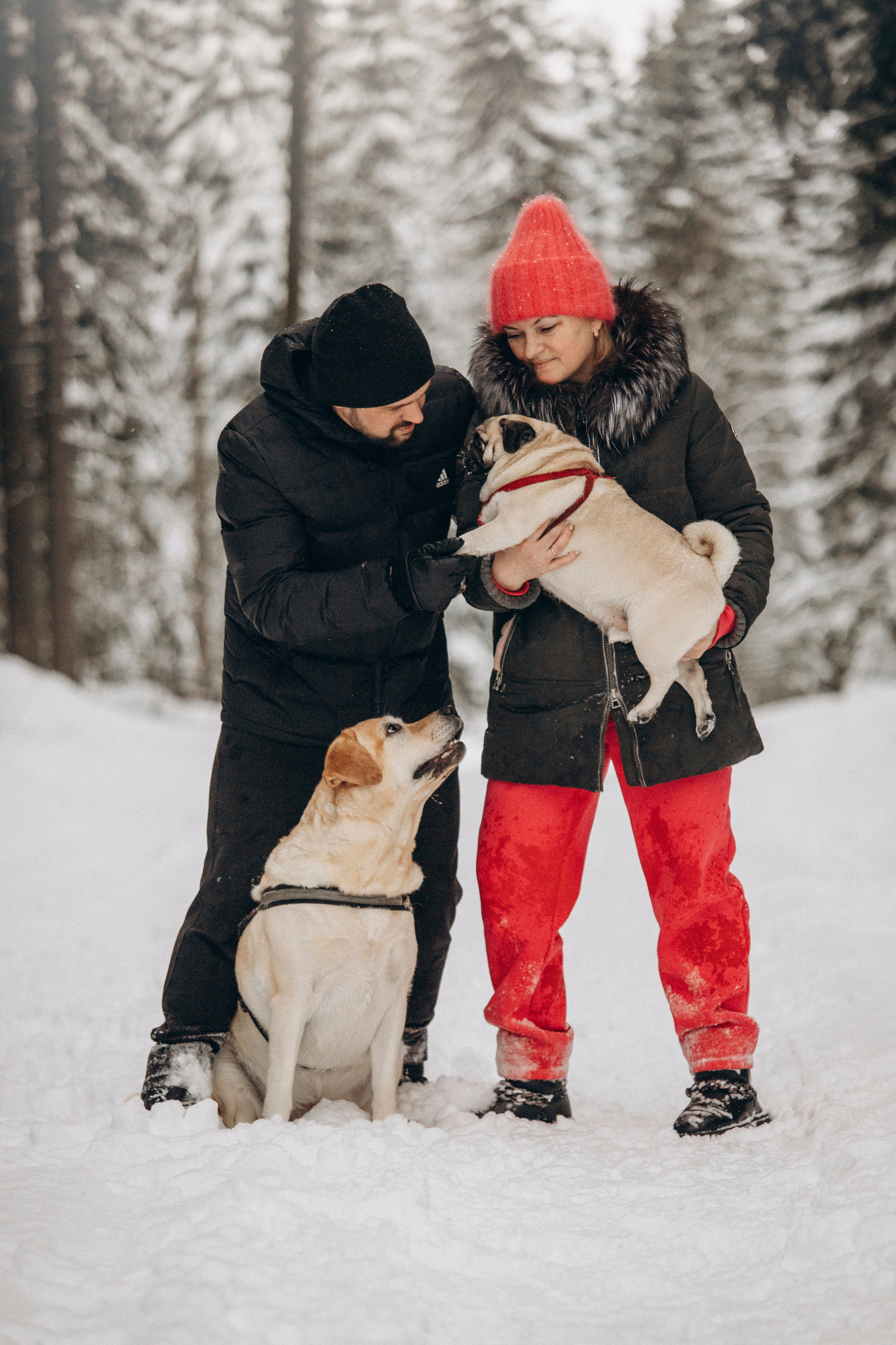 Марго, Степа и их семья. Фотограф — Анималист | Санкт-Петербург