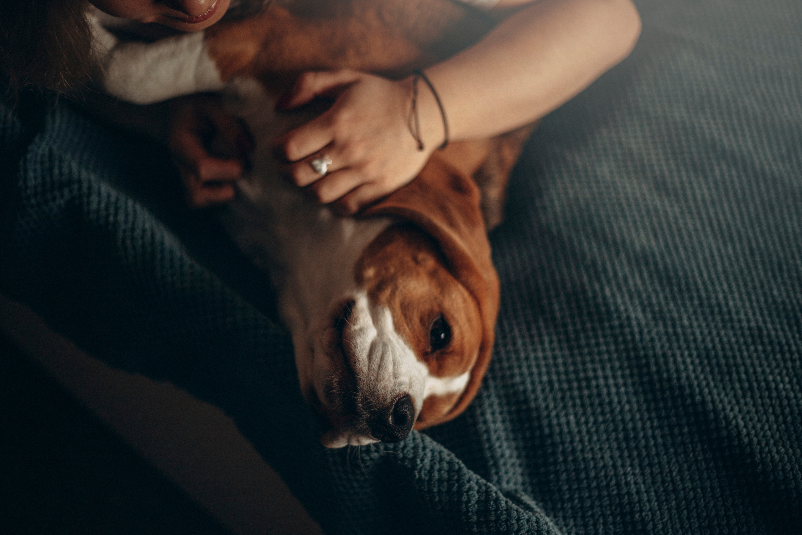 Полина и Бетти. Фотограф — Анималист | Санкт-Петербург