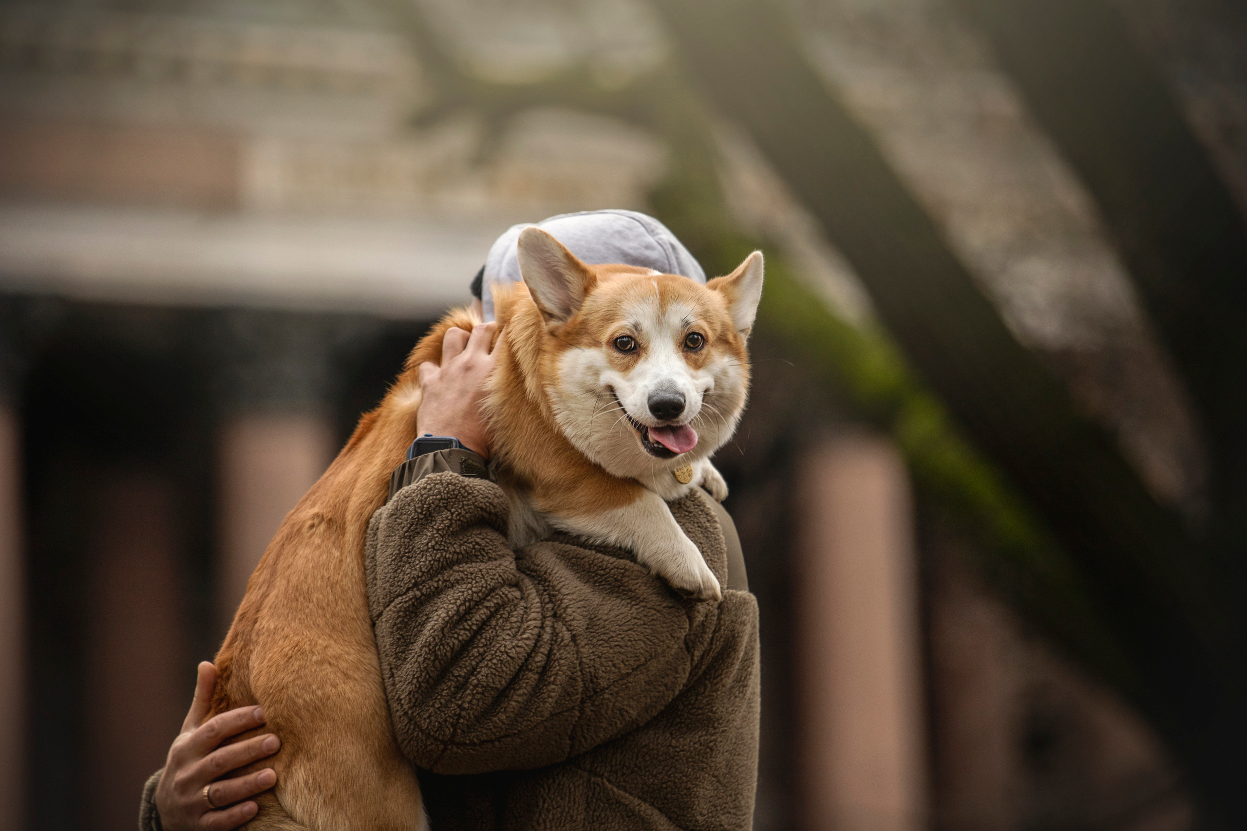 Барни и его семья. Фотограф — Анималист | Санкт-Петербург