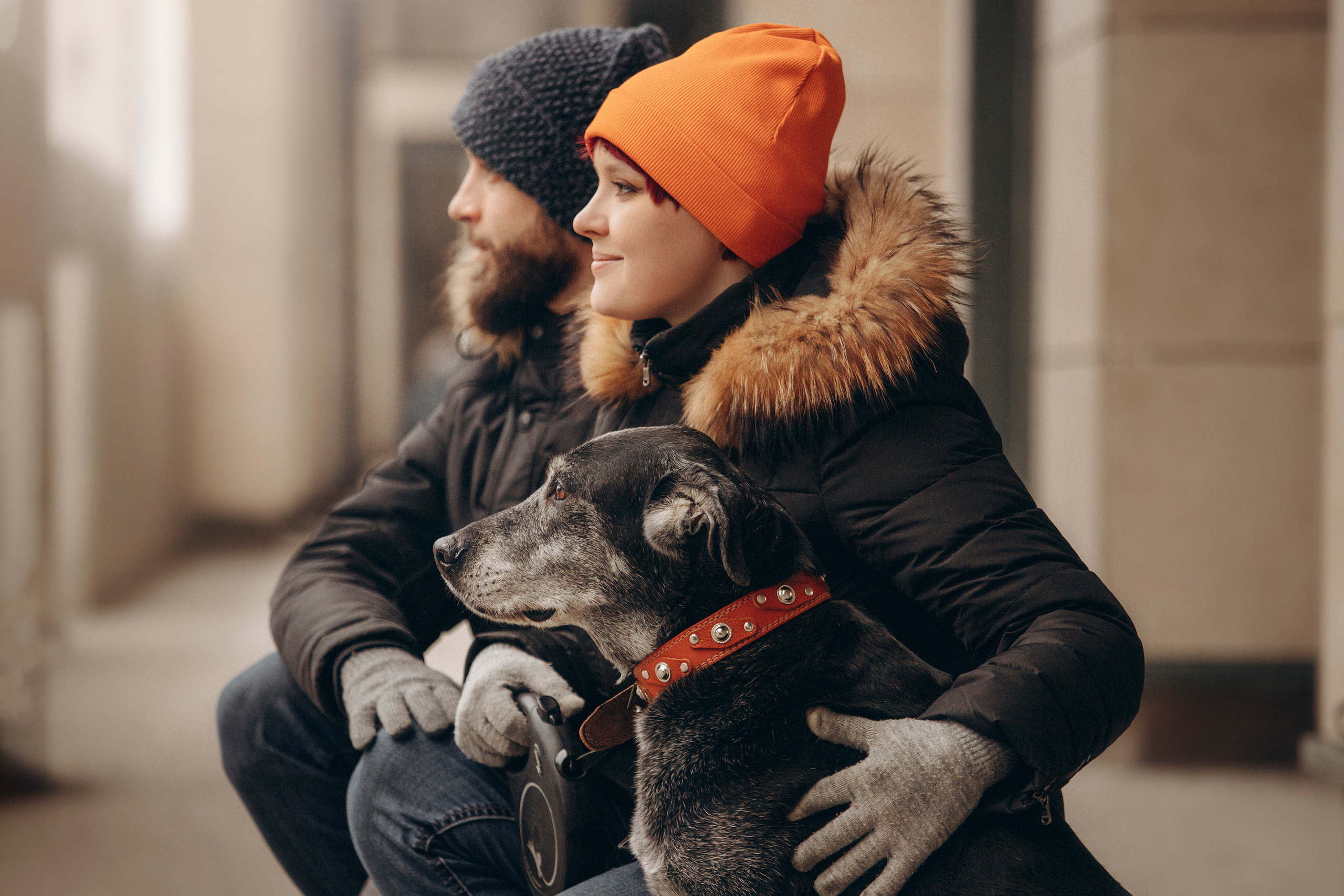 Ангус и его семья. Фотограф — Анималист | Санкт-Петербург