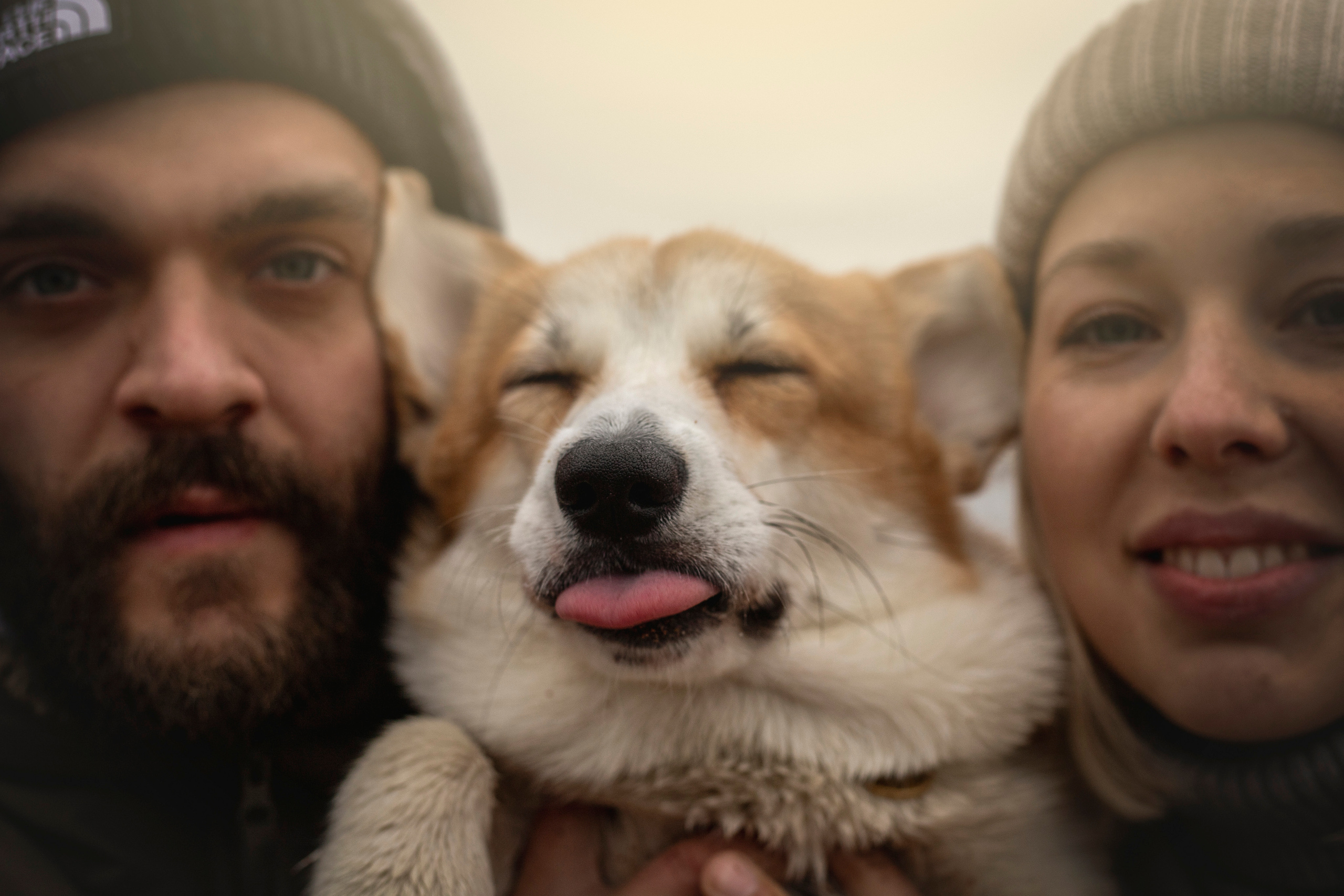 Барни и его семья. Фотограф — Анималист | Санкт-Петербург