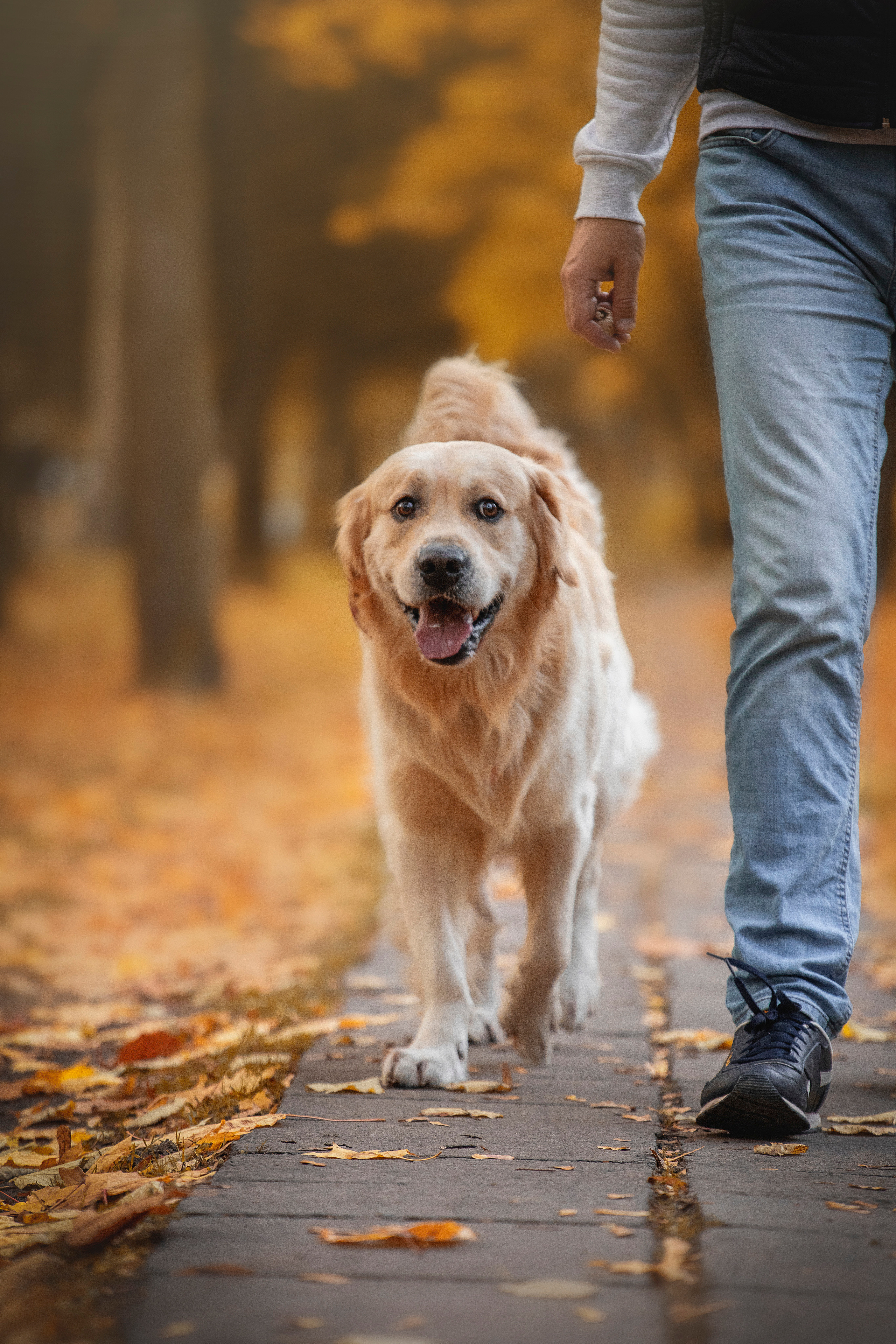 Лёвушка и его семья. Фотограф — Анималист | Санкт-Петербург