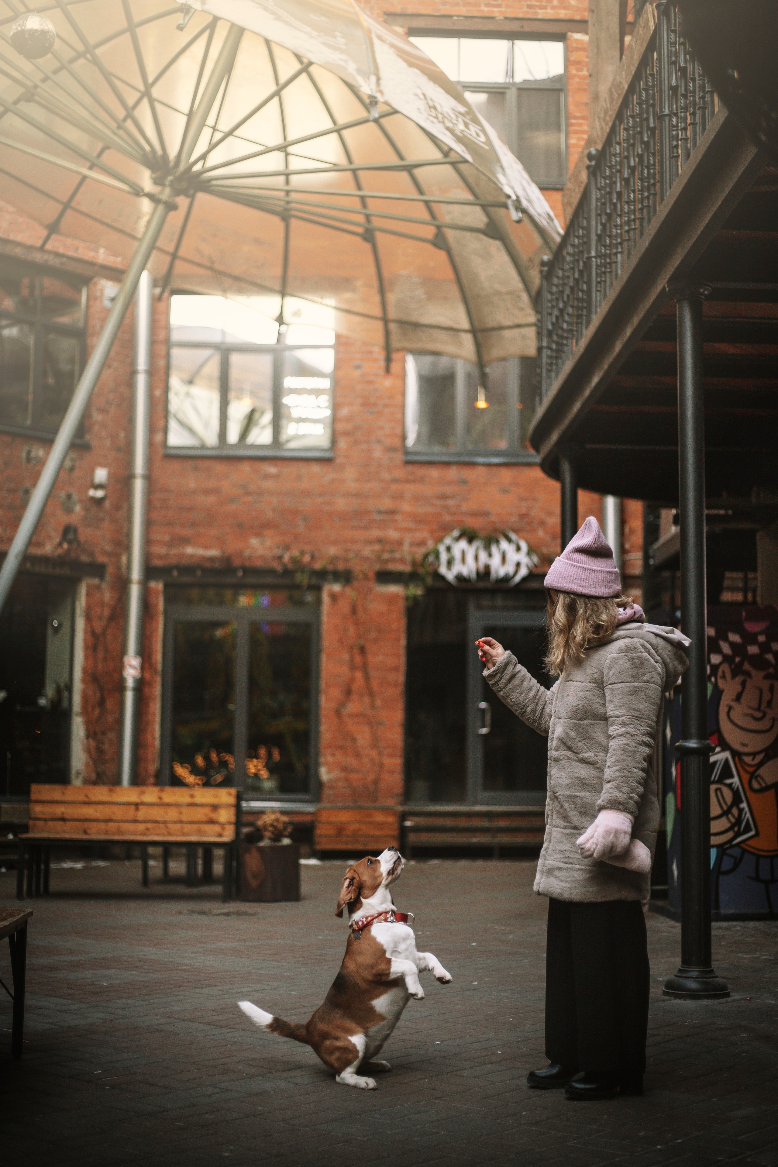 Полина и Бетти. Фотограф — Анималист | Санкт-Петербург