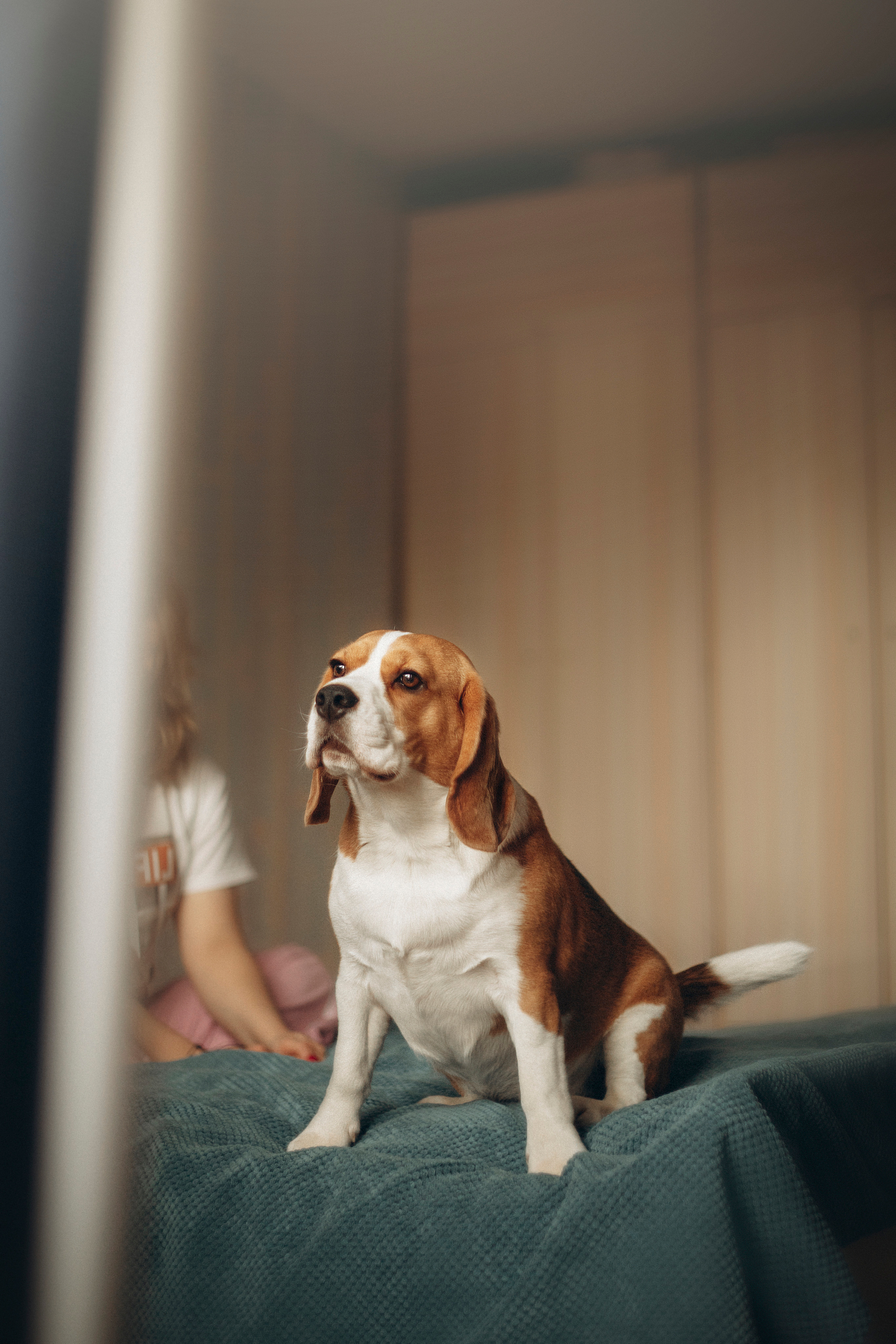 Полина и Бетти. Фотограф — Анималист | Санкт-Петербург