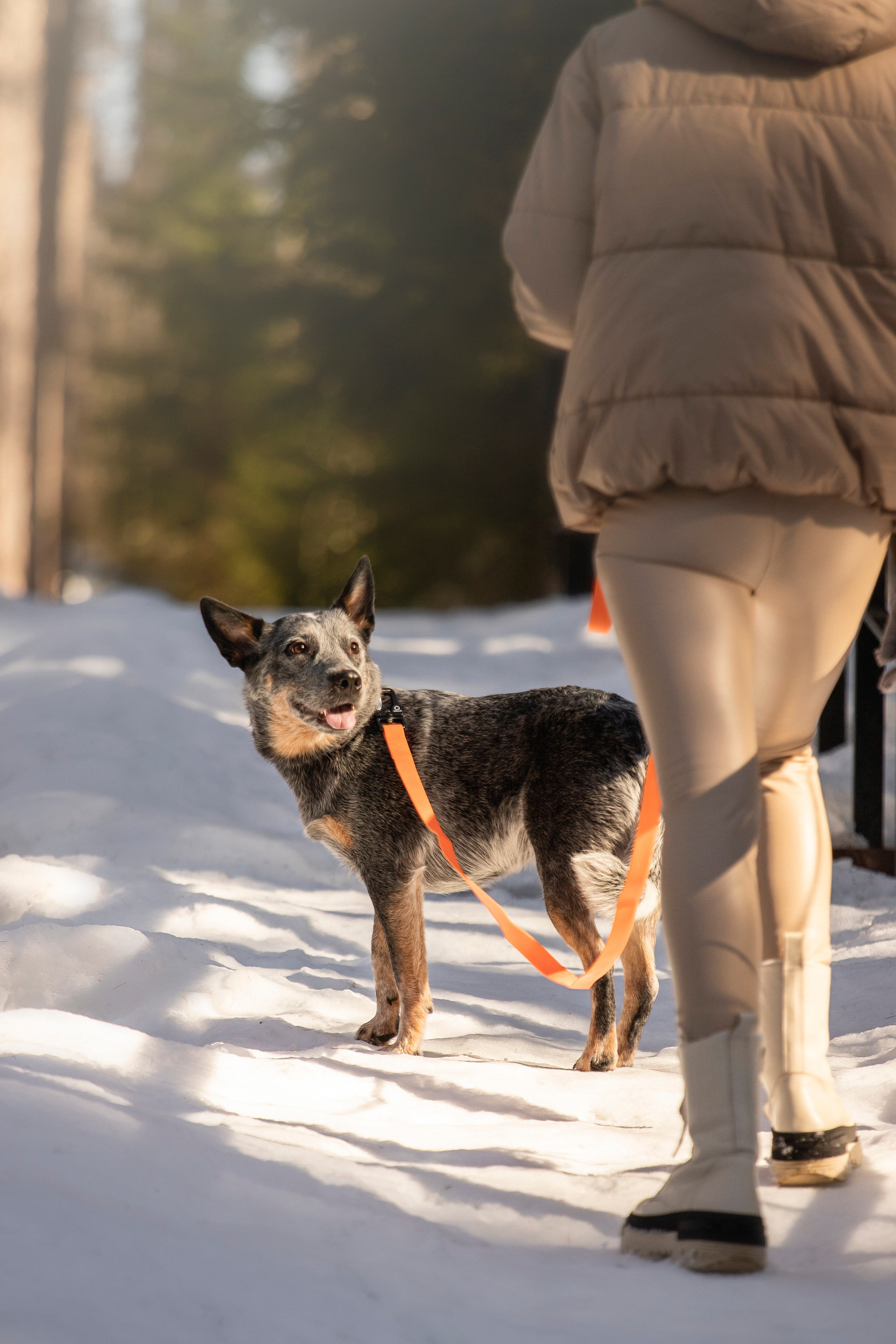 Оля и Мотя. Фотограф — Анималист | Санкт-Петербург