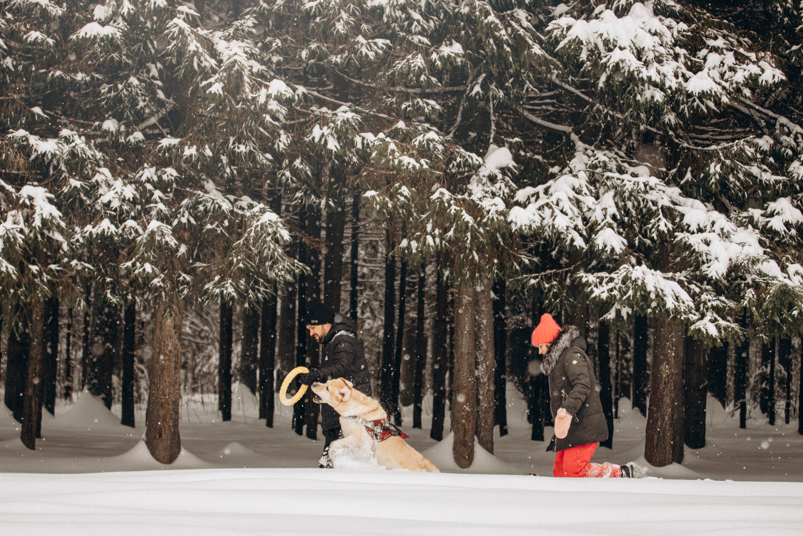 Марго, Степа и их семья. Фотограф — Анималист | Санкт-Петербург