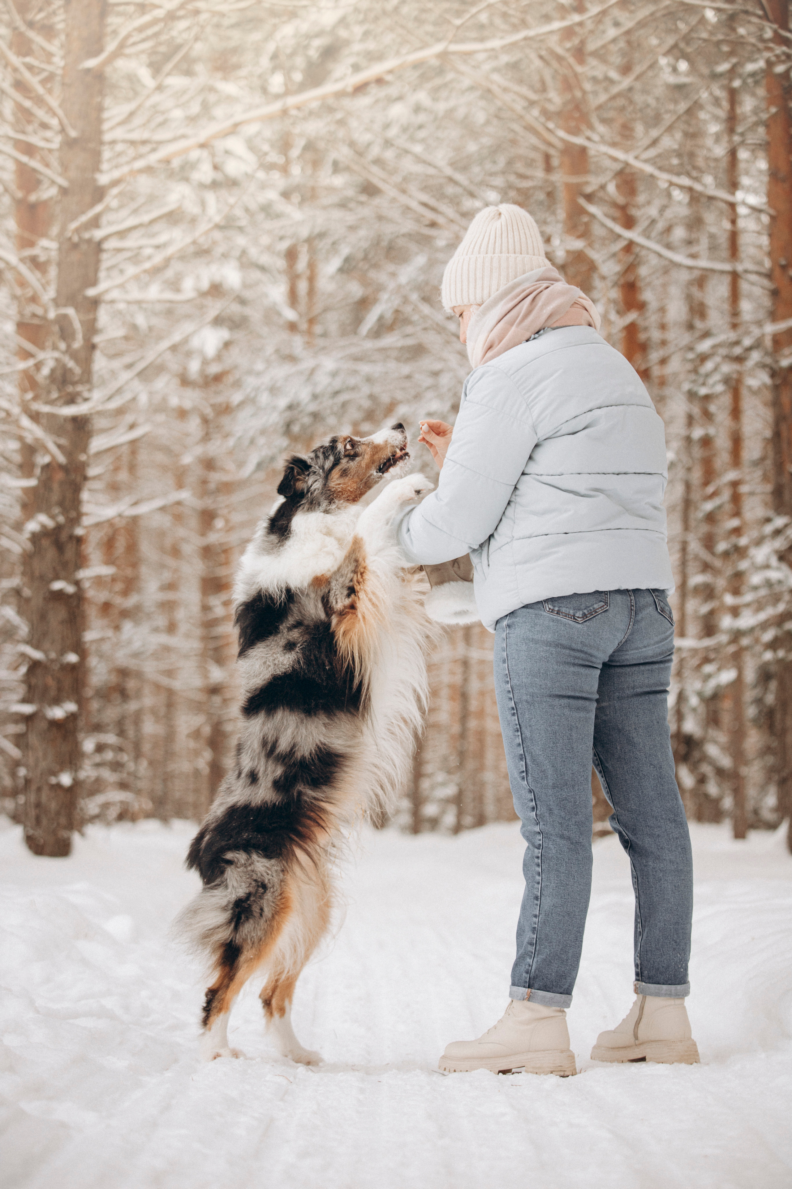 Айк и его семья. Фотограф — Анималист | Санкт-Петербург