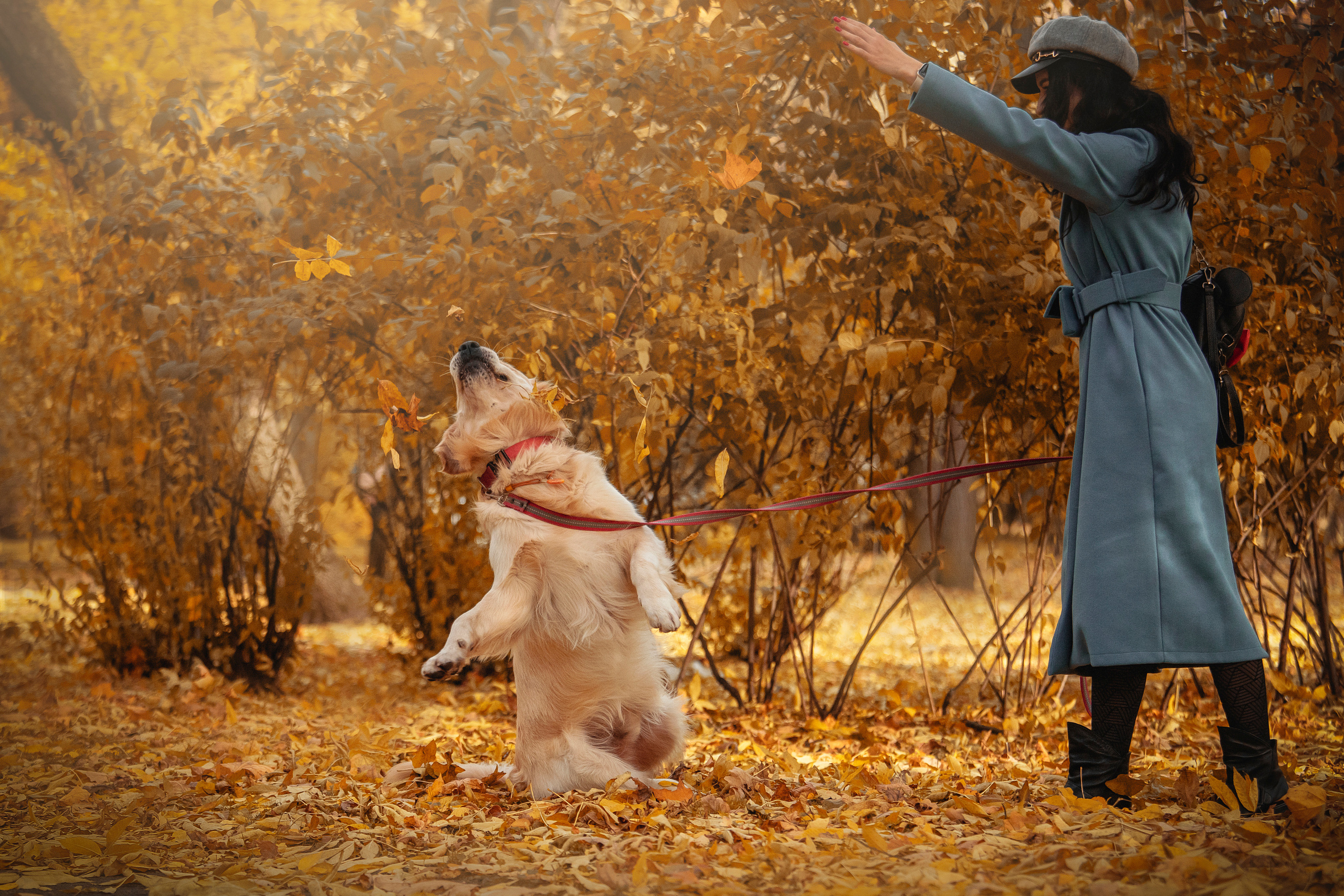 Лёвушка и его семья. Фотограф — Анималист | Санкт-Петербург