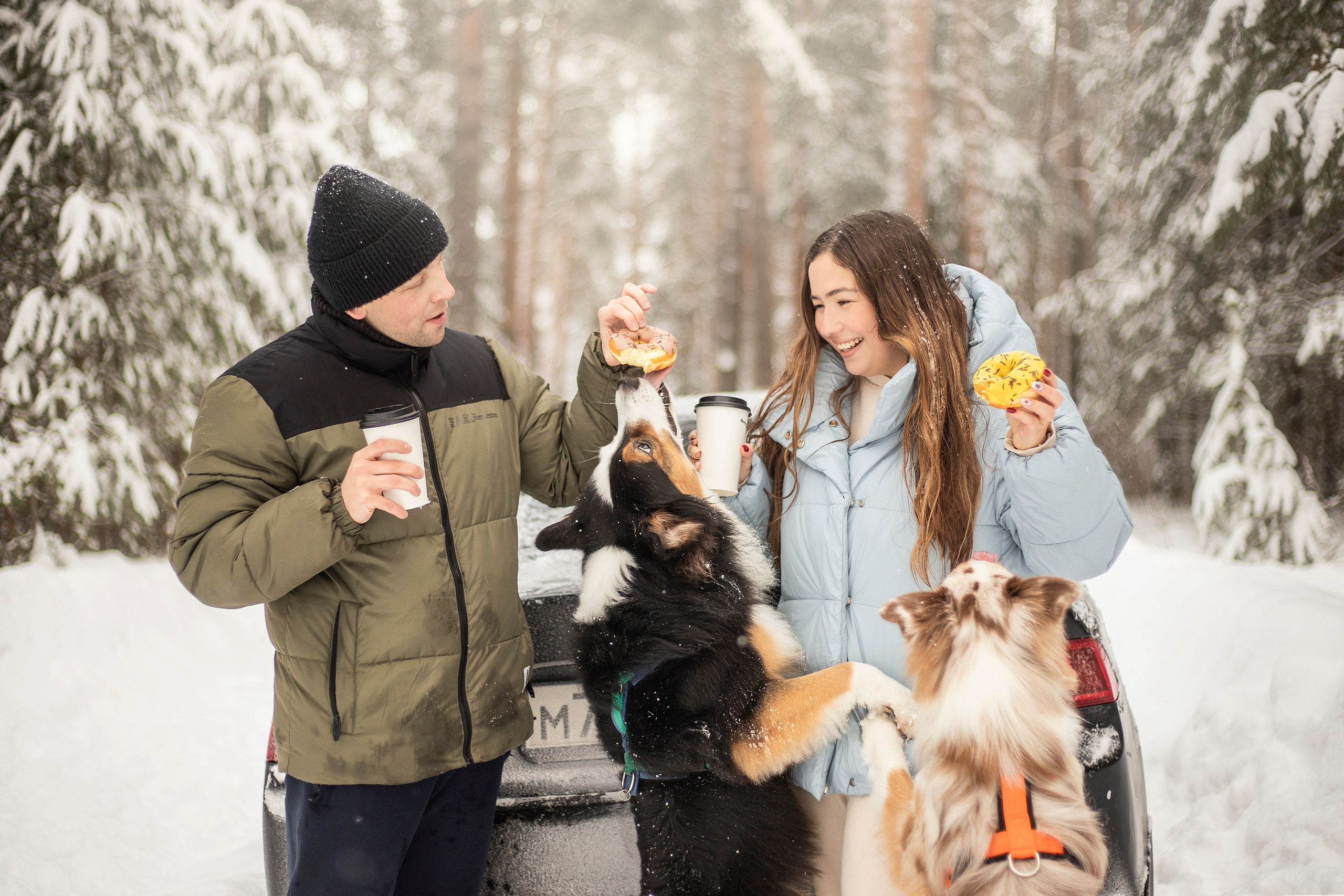Делик, Скай и их семья. Фотограф — Анималист | Санкт-Петербург