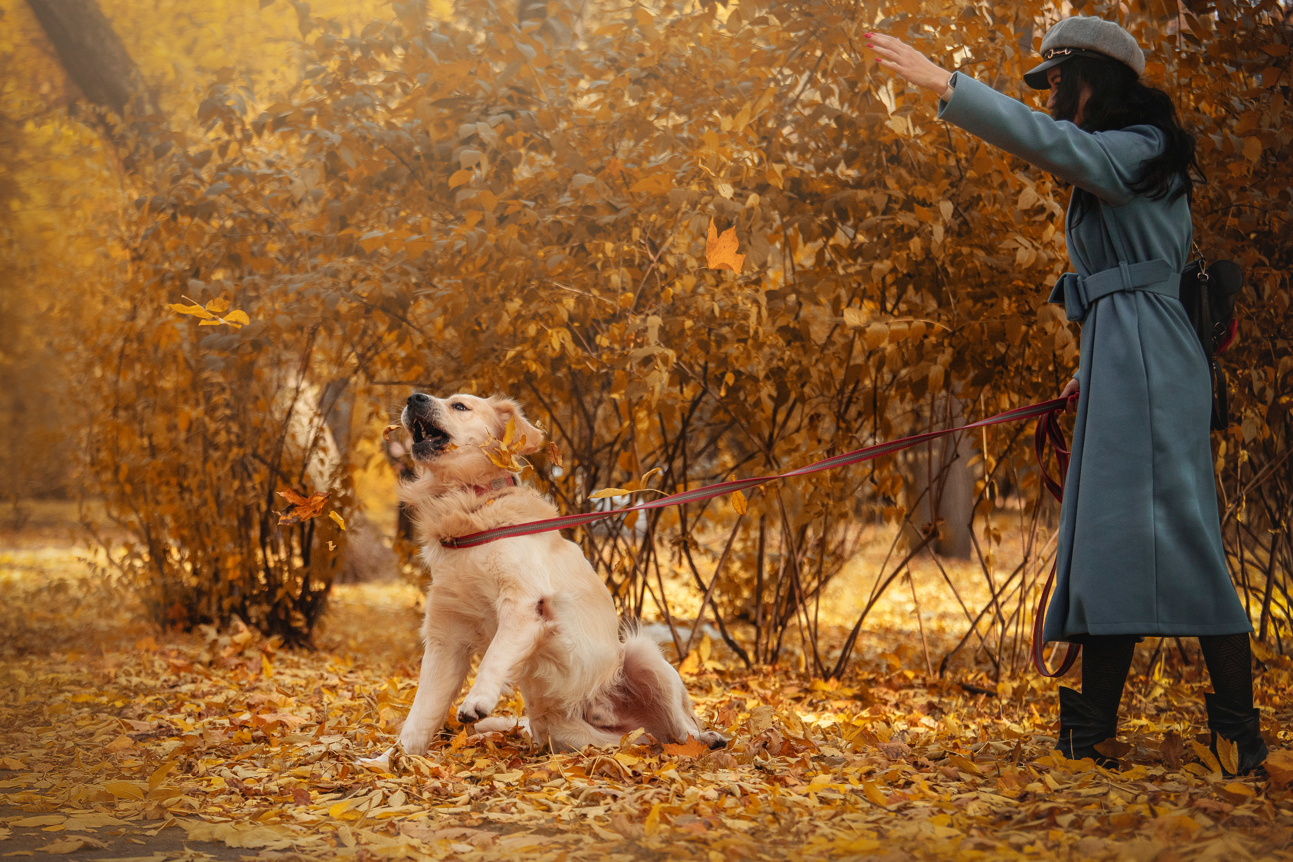 Лёвушка и его семья. Фотограф — Анималист | Санкт-Петербург