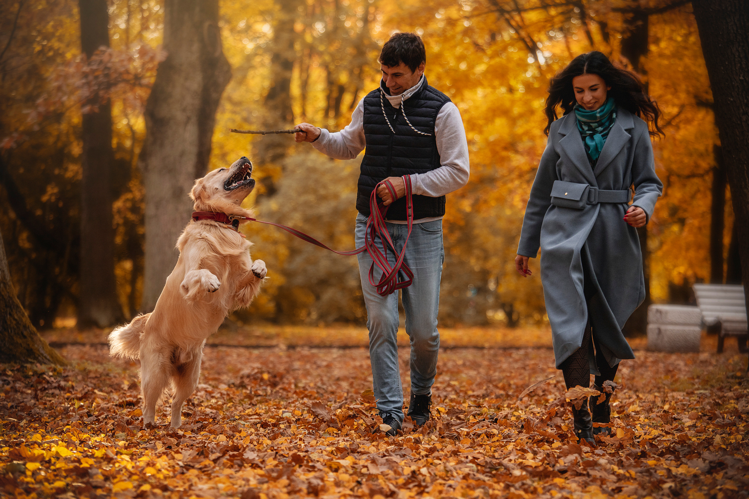 Лёвушка и его семья. Фотограф — Анималист | Санкт-Петербург