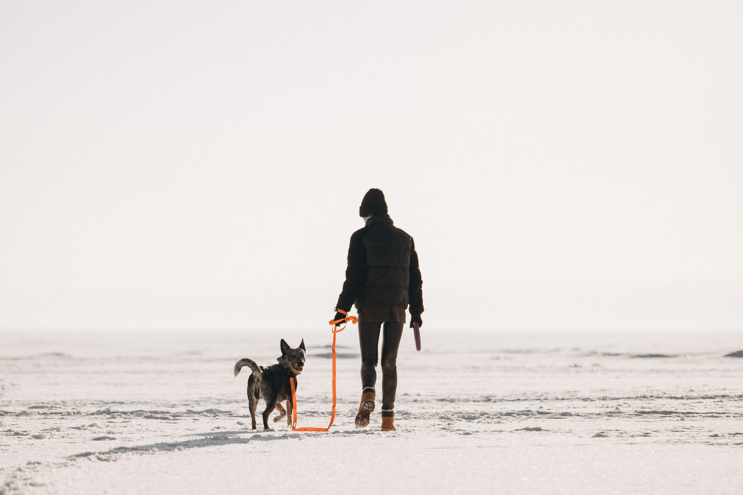 Оля и Мотя. Фотограф — Анималист | Санкт-Петербург