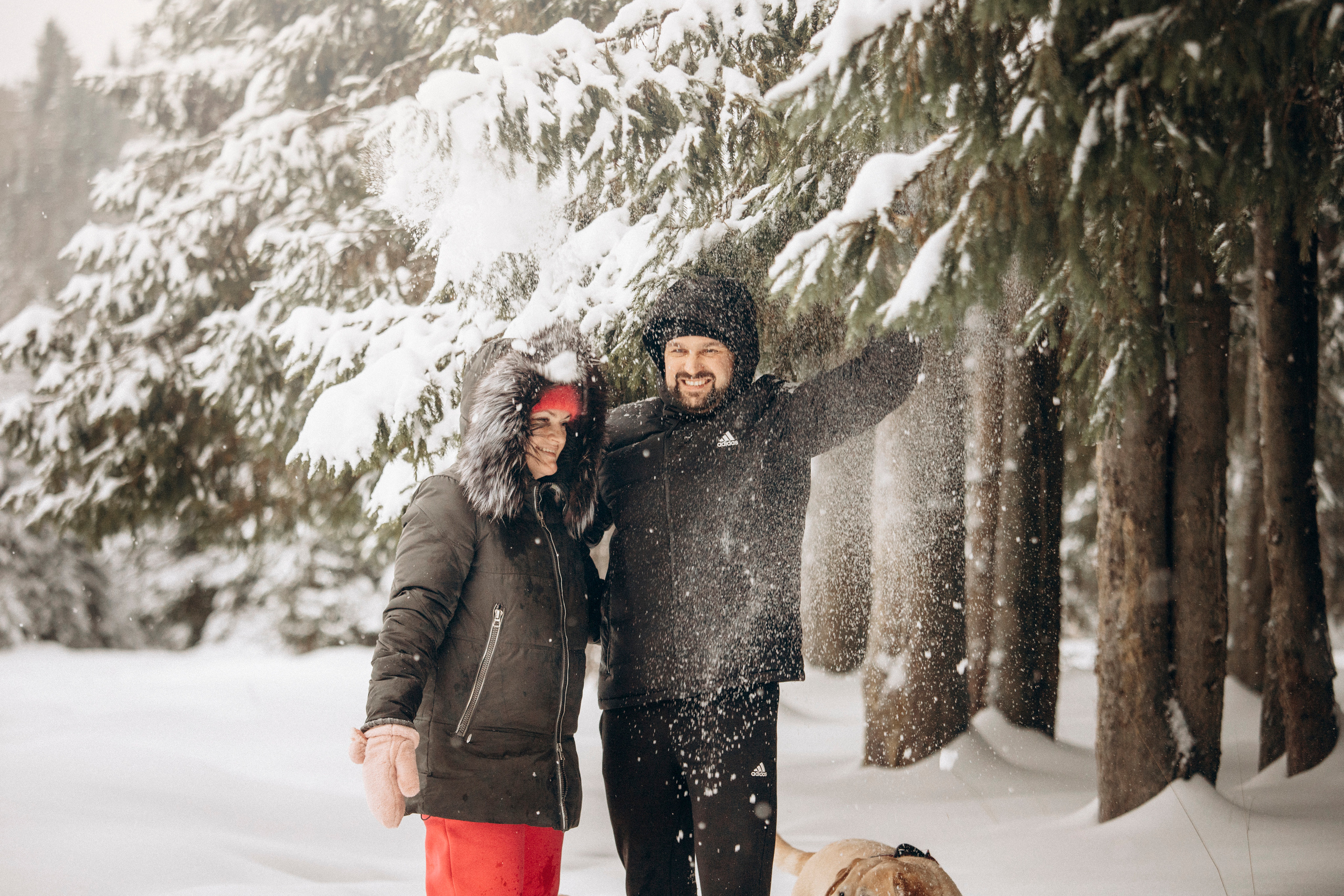 Марго, Степа и их семья. Фотограф — Анималист | Санкт-Петербург