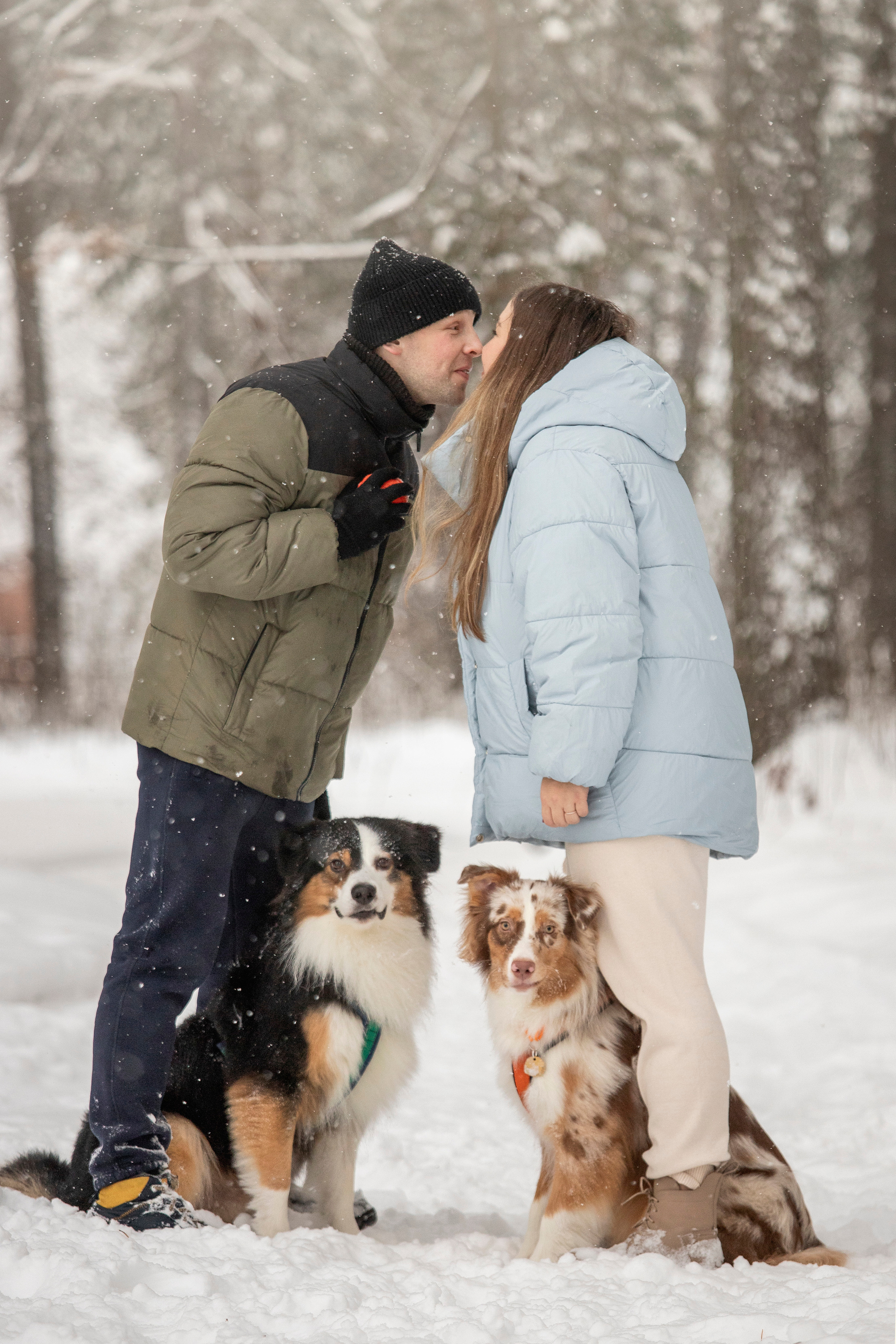 Делик, Скай и их семья. Фотограф — Анималист | Санкт-Петербург