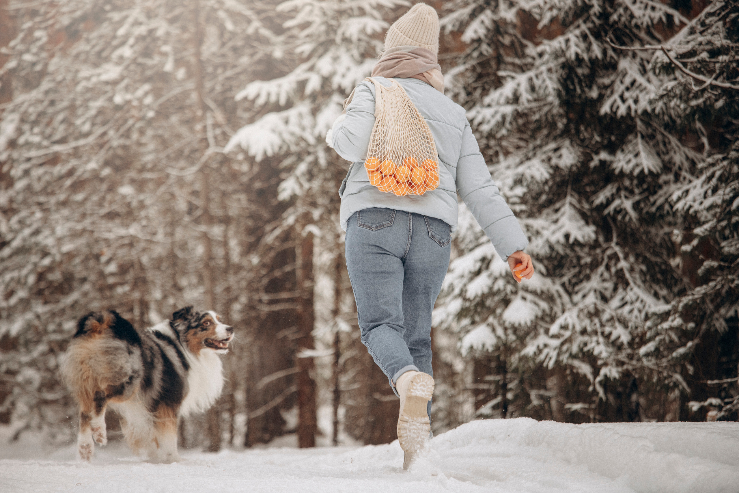 Айк и его семья. Фотограф — Анималист | Санкт-Петербург