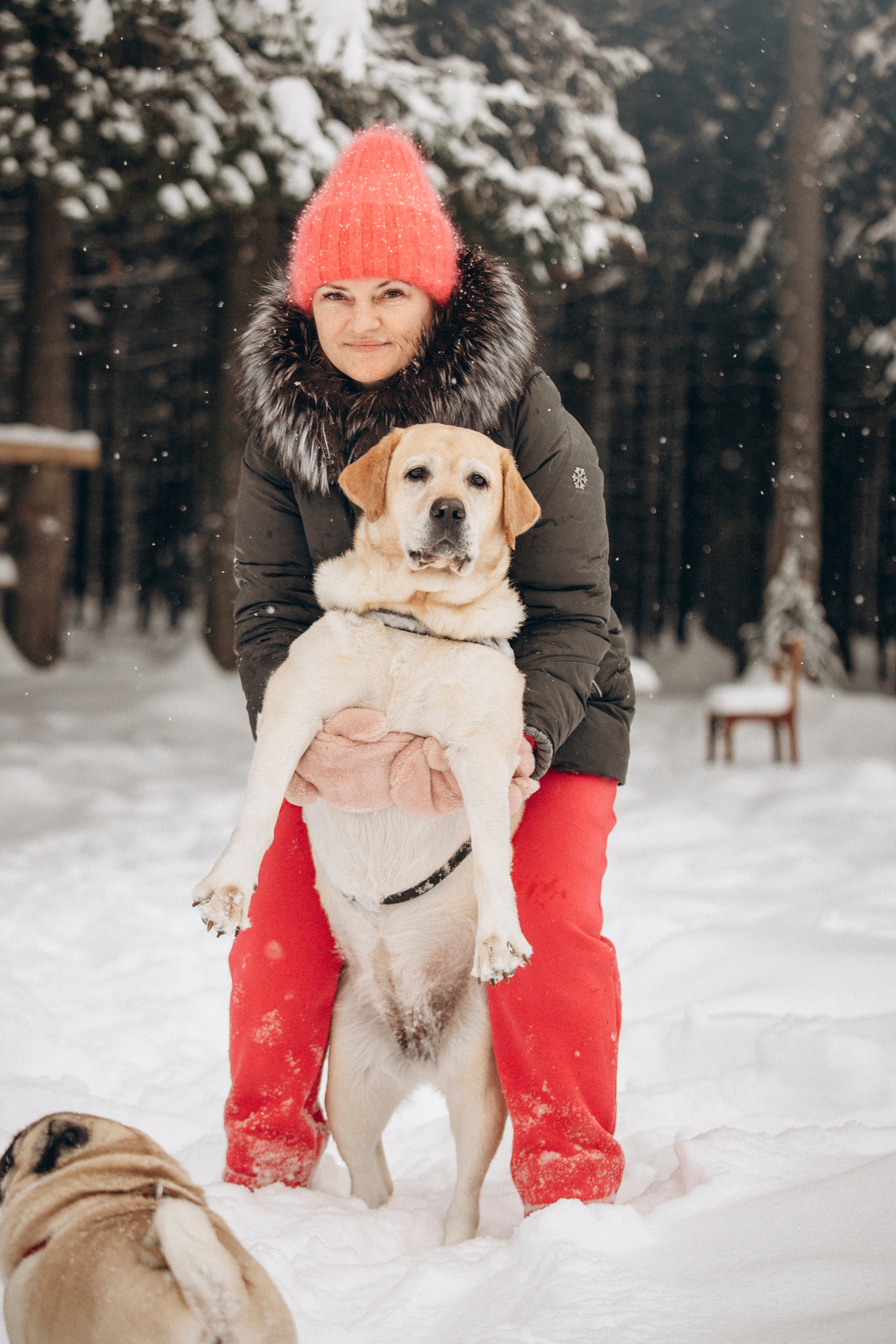 Марго, Степа и их семья. Фотограф — Анималист | Санкт-Петербург