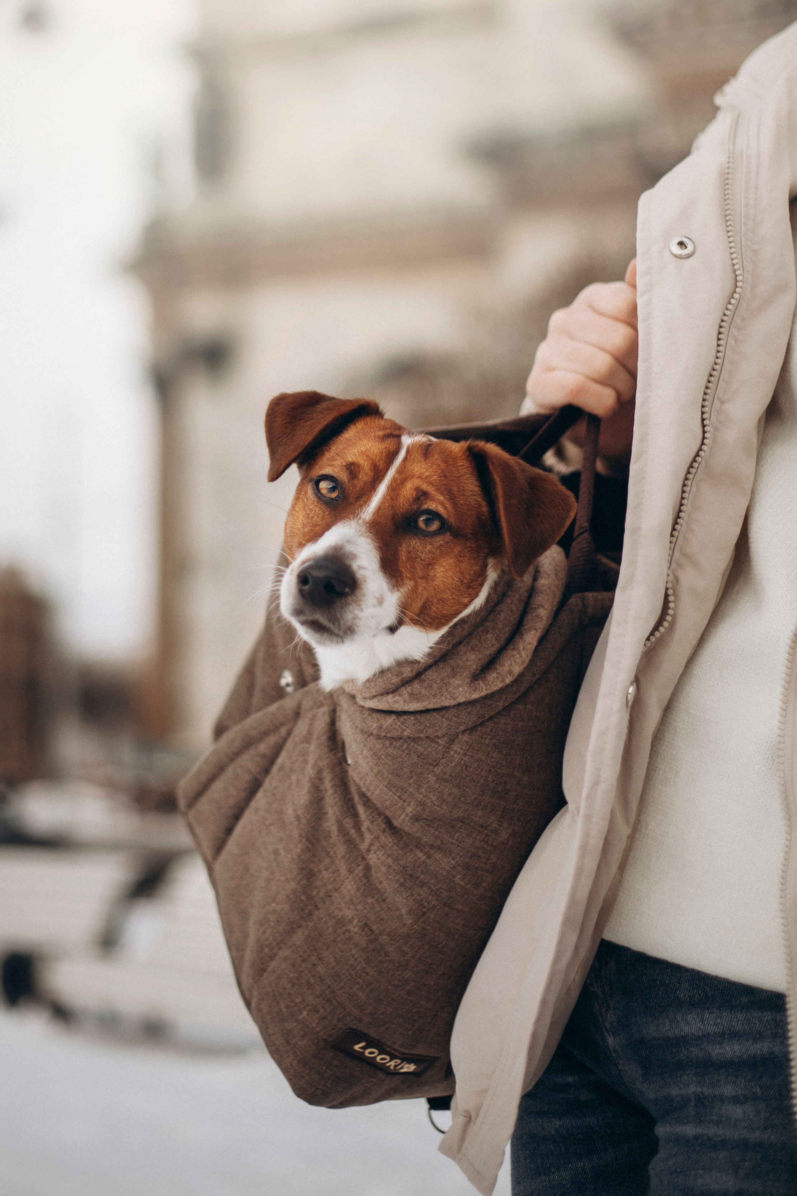 Даша и Бакс. Фотограф — Анималист | Санкт-Петербург