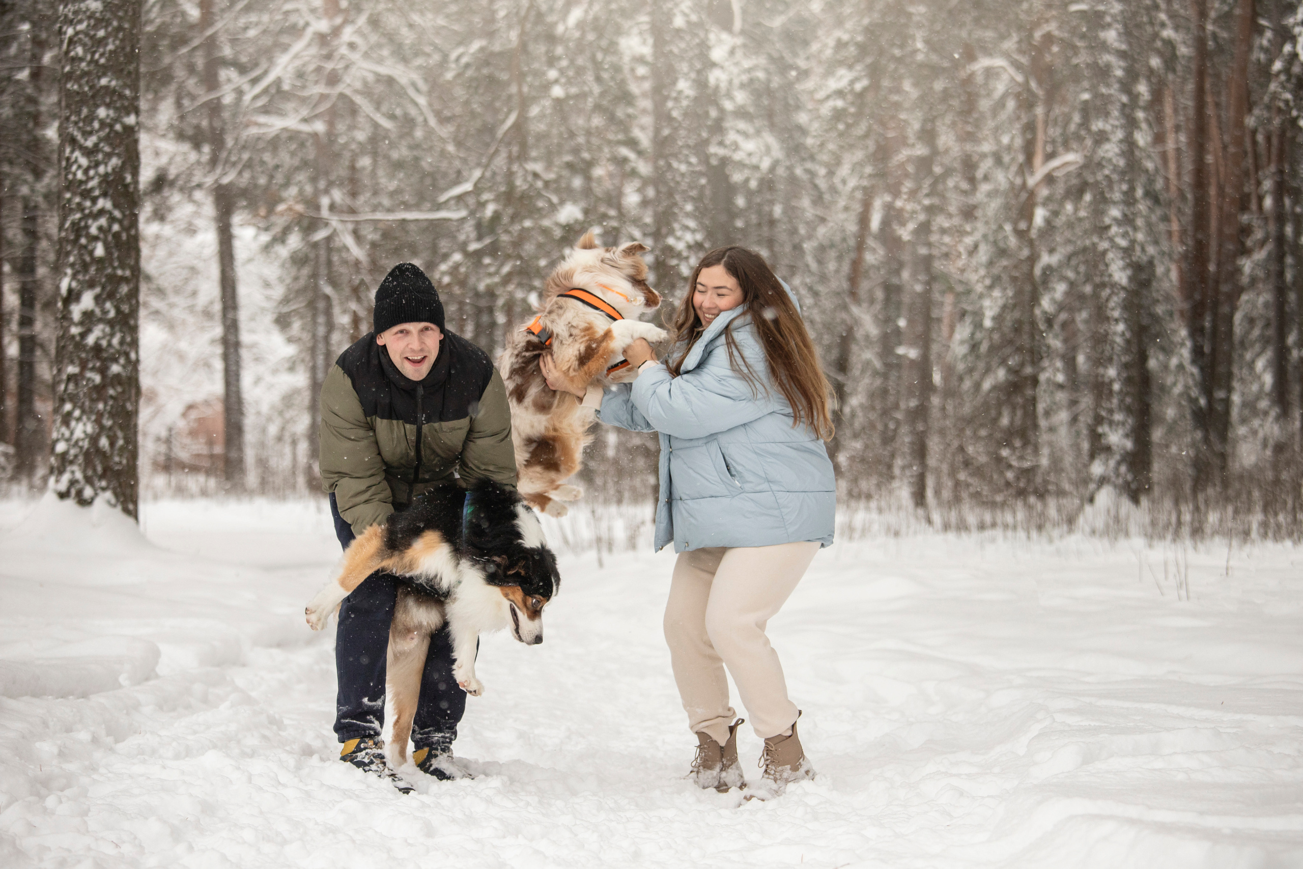 Делик, Скай и их семья. Фотограф — Анималист | Санкт-Петербург