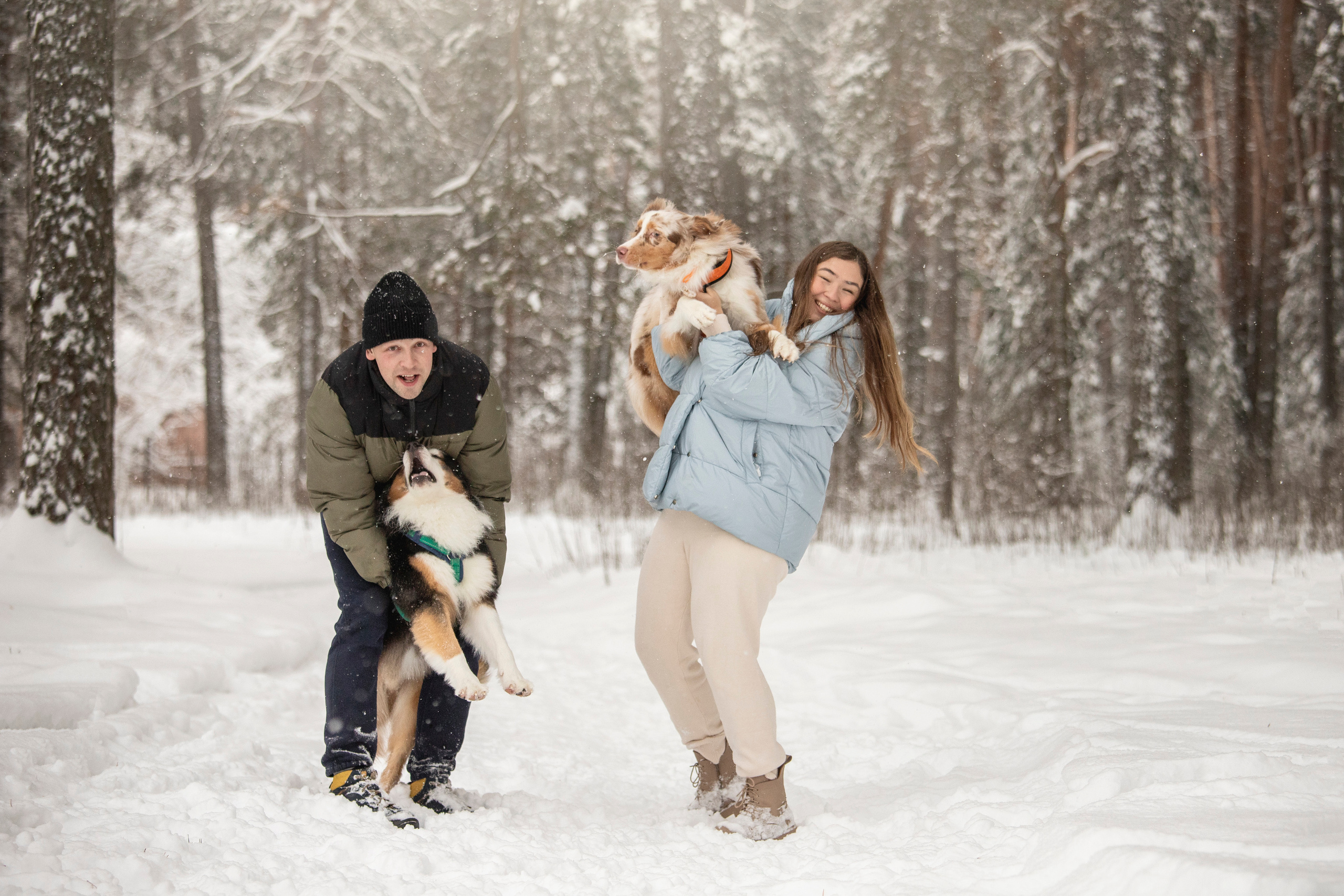Делик, Скай и их семья. Фотограф — Анималист | Санкт-Петербург