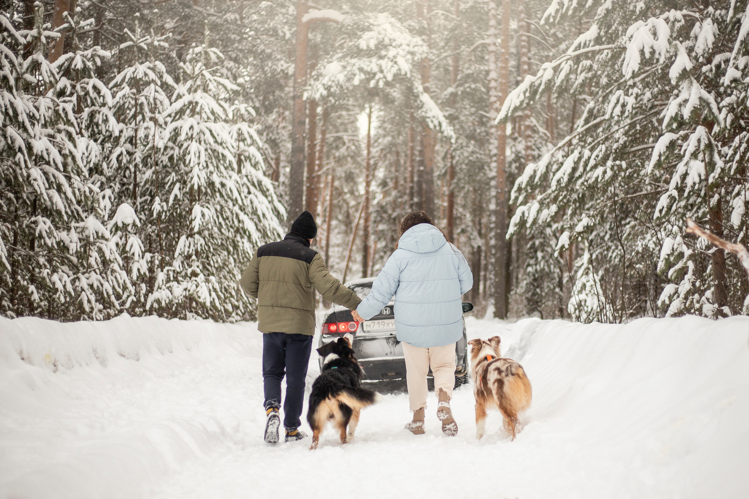 Делик, Скай и их семья. Фотограф — Анималист | Санкт-Петербург