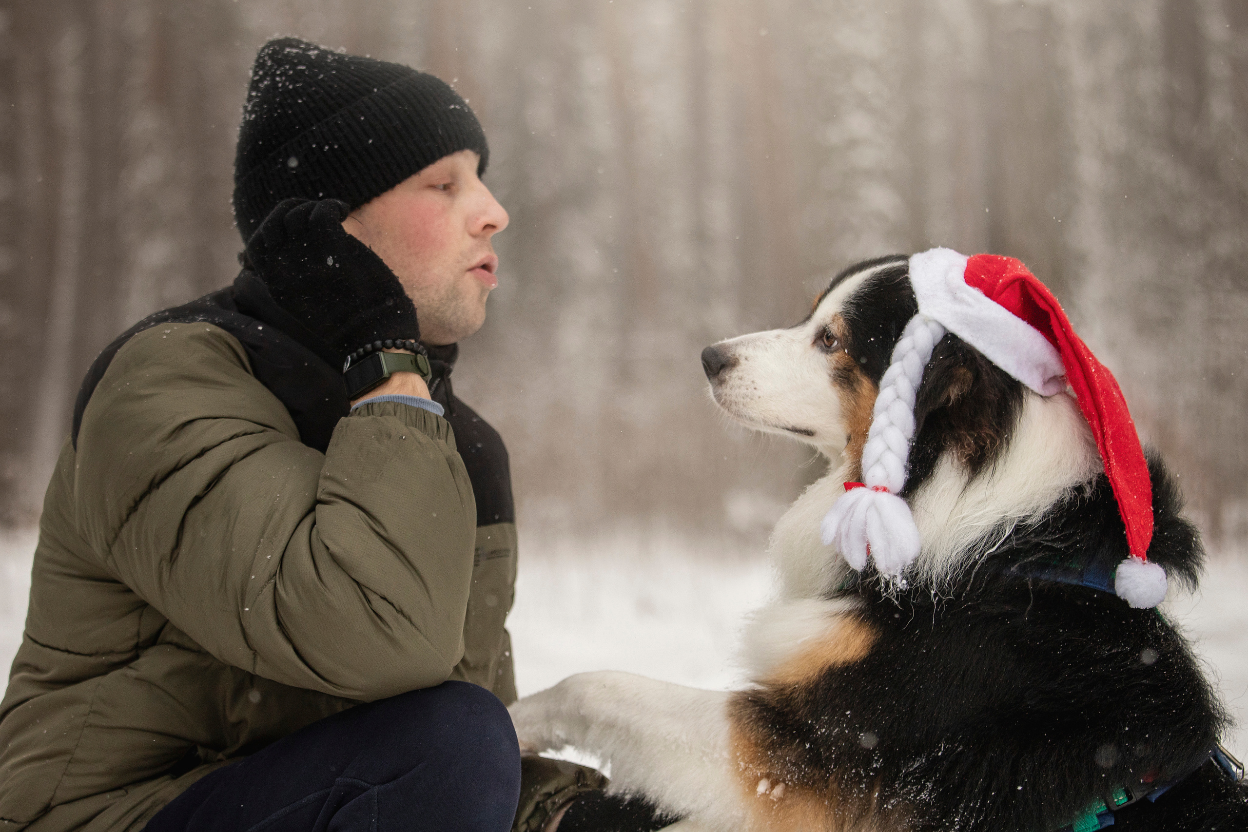 Делик, Скай и их семья. Фотограф — Анималист | Санкт-Петербург