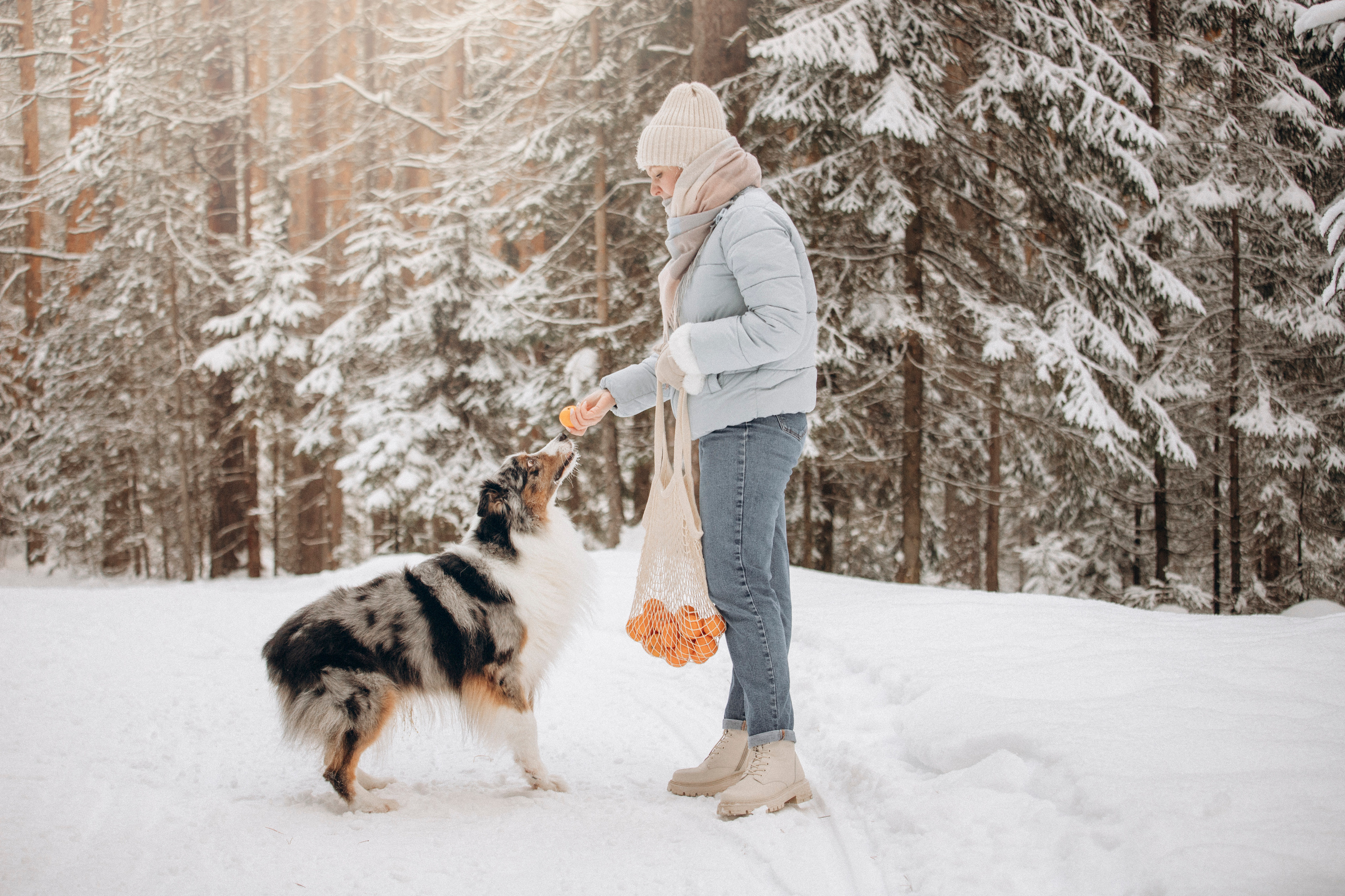Айк и его семья. Фотограф — Анималист | Санкт-Петербург