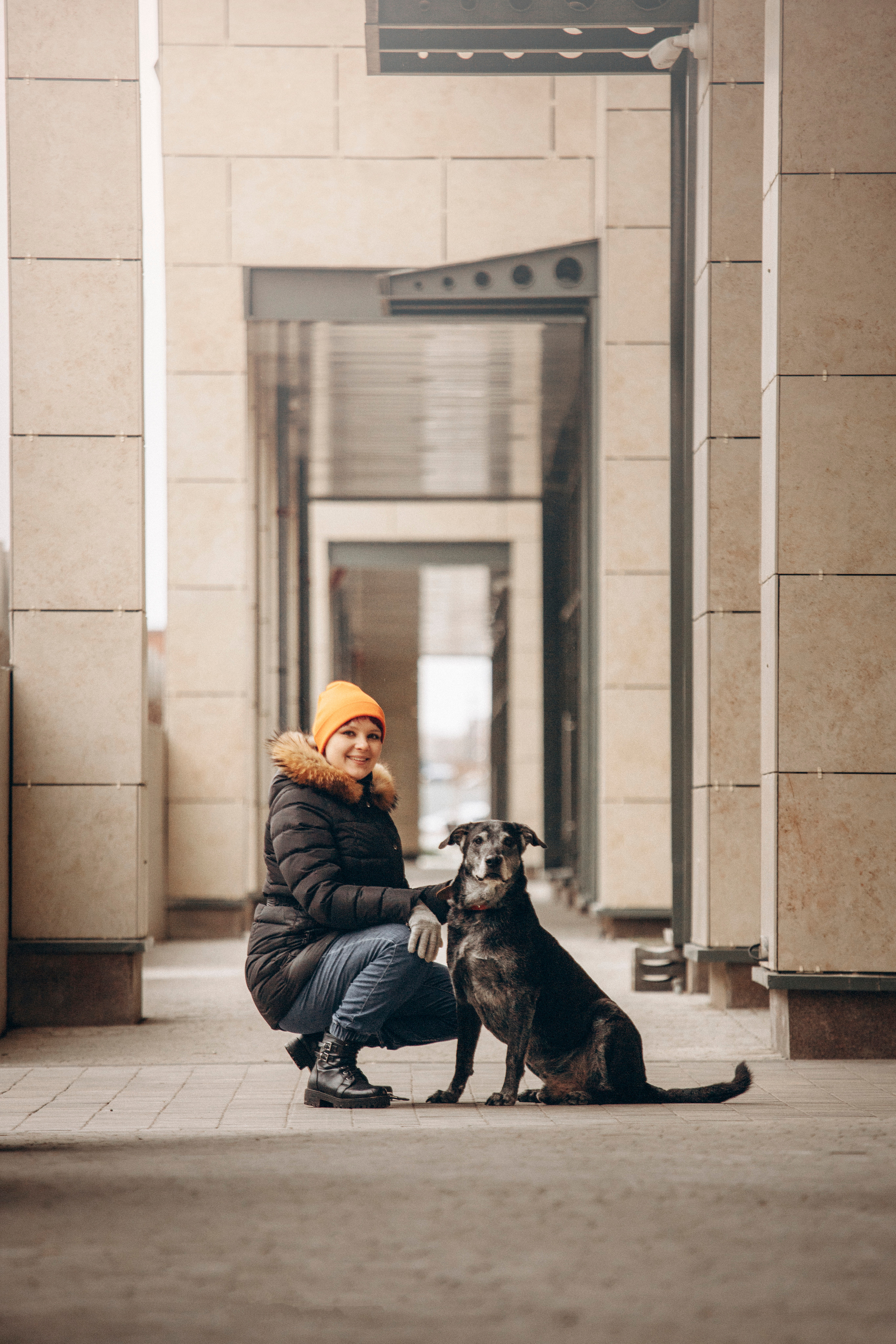 Ангус и его семья. Фотограф — Анималист | Санкт-Петербург