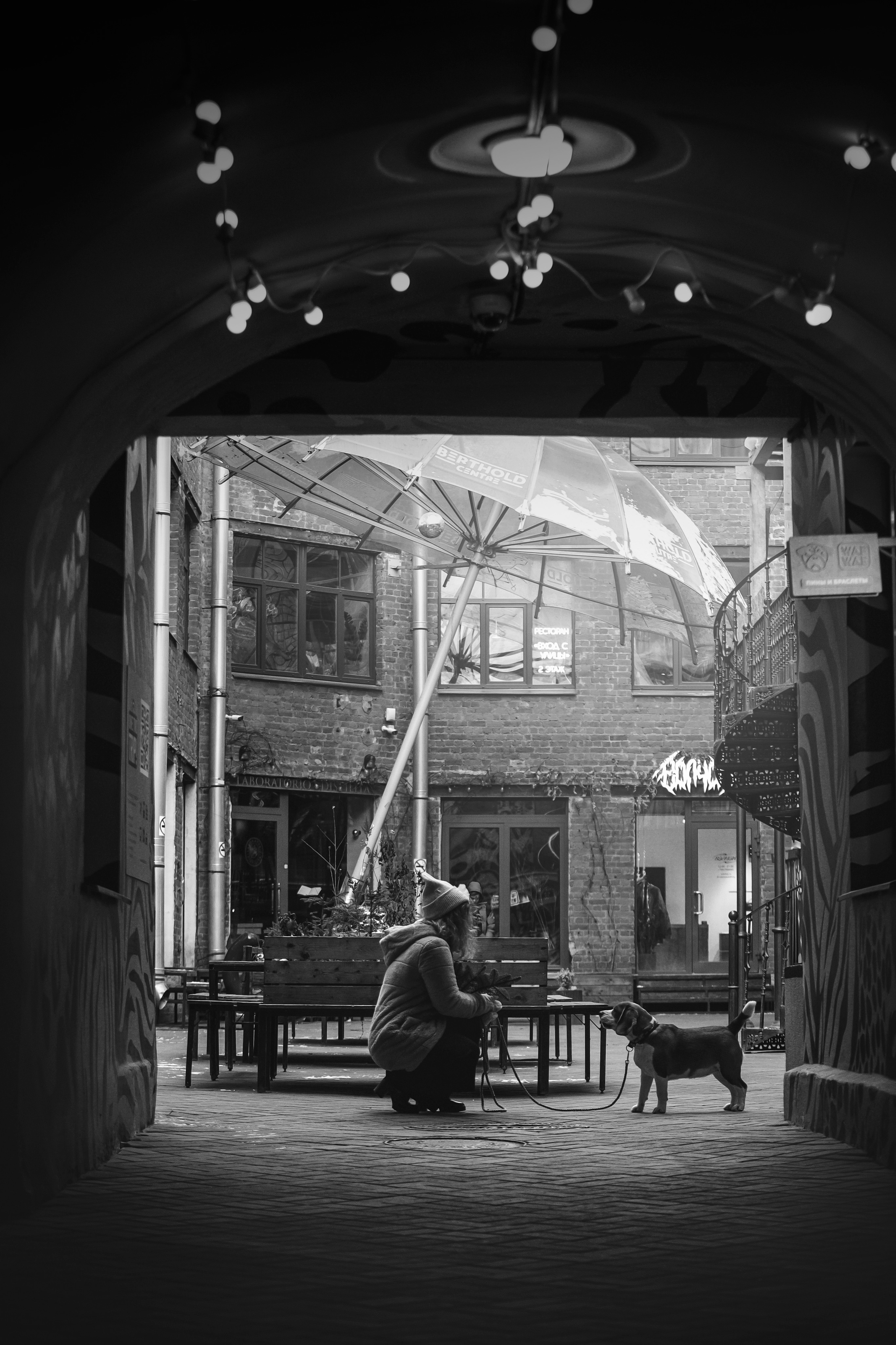 Полина и Бетти. Фотограф — Анималист | Санкт-Петербург