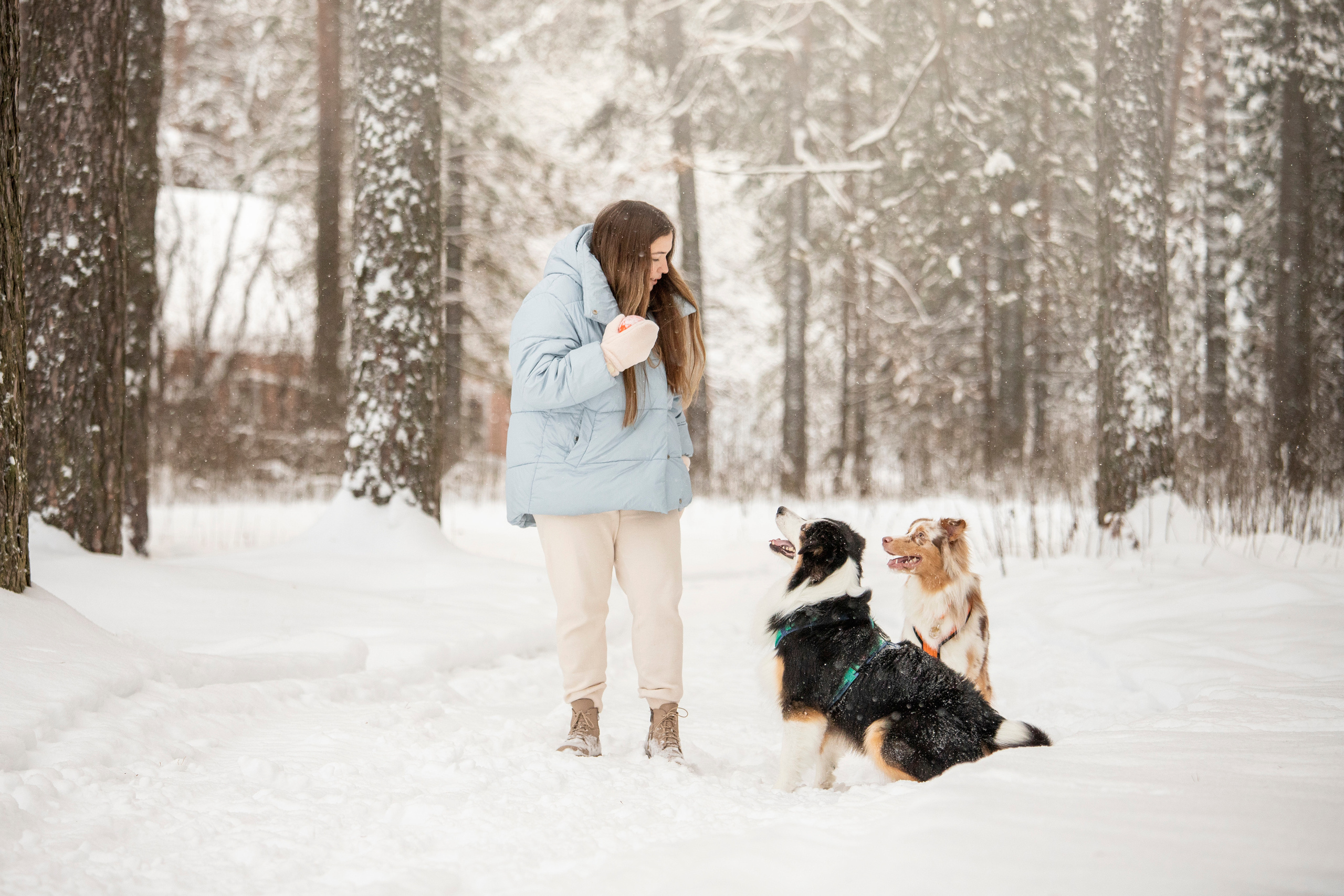 Делик, Скай и их семья. Фотограф — Анималист | Санкт-Петербург