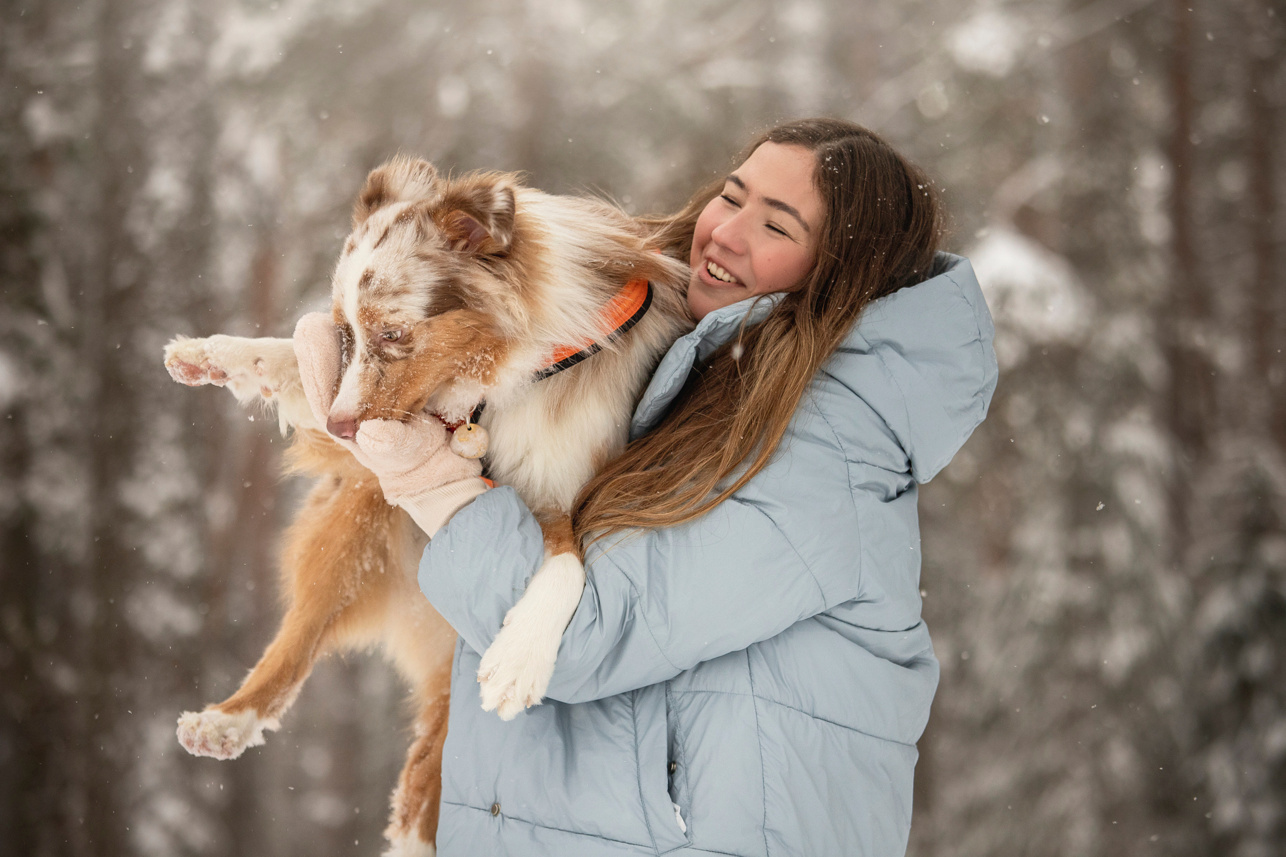 Делик, Скай и их семья. Фотограф — Анималист | Санкт-Петербург