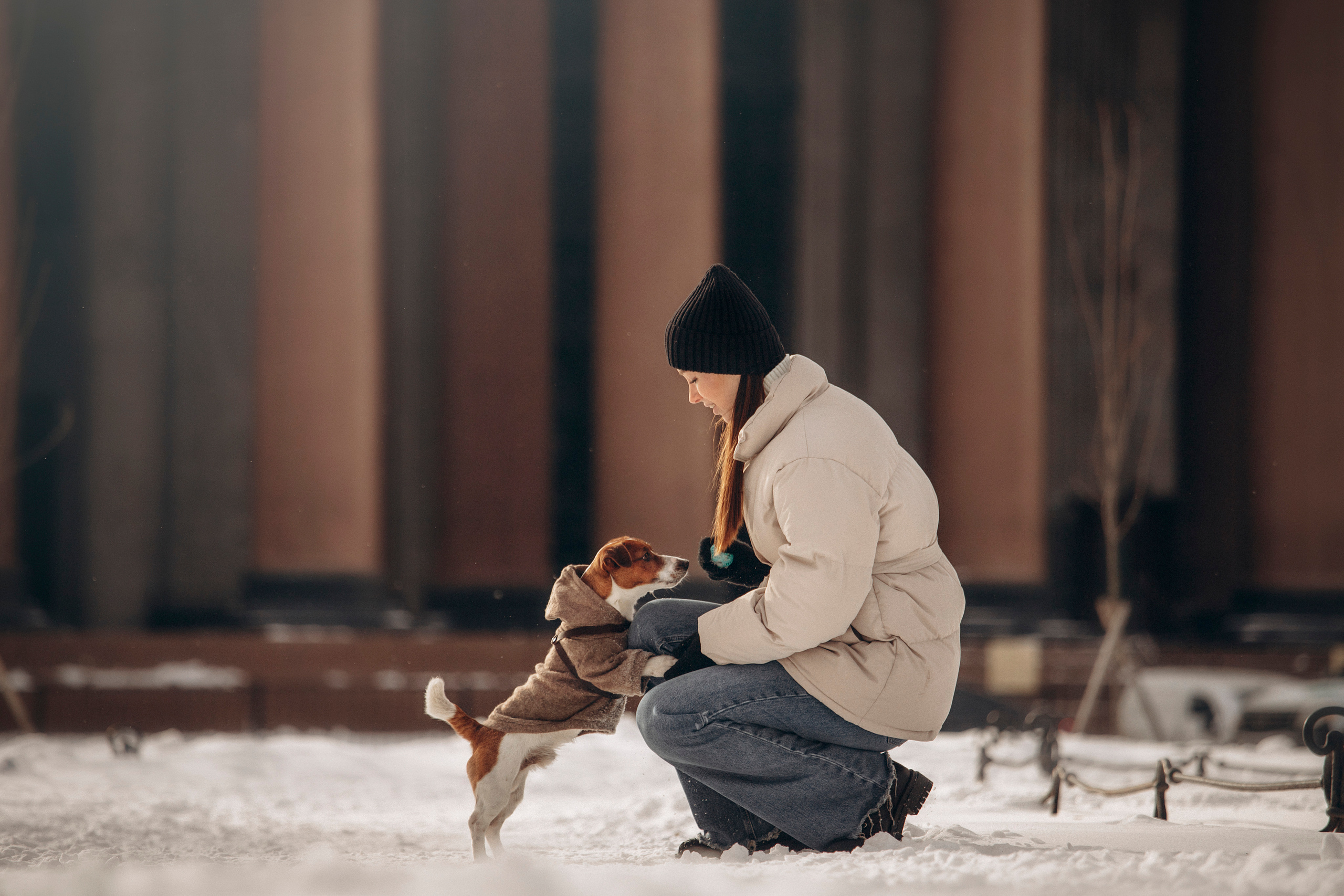 Даша и Бакс. Фотограф — Анималист | Санкт-Петербург