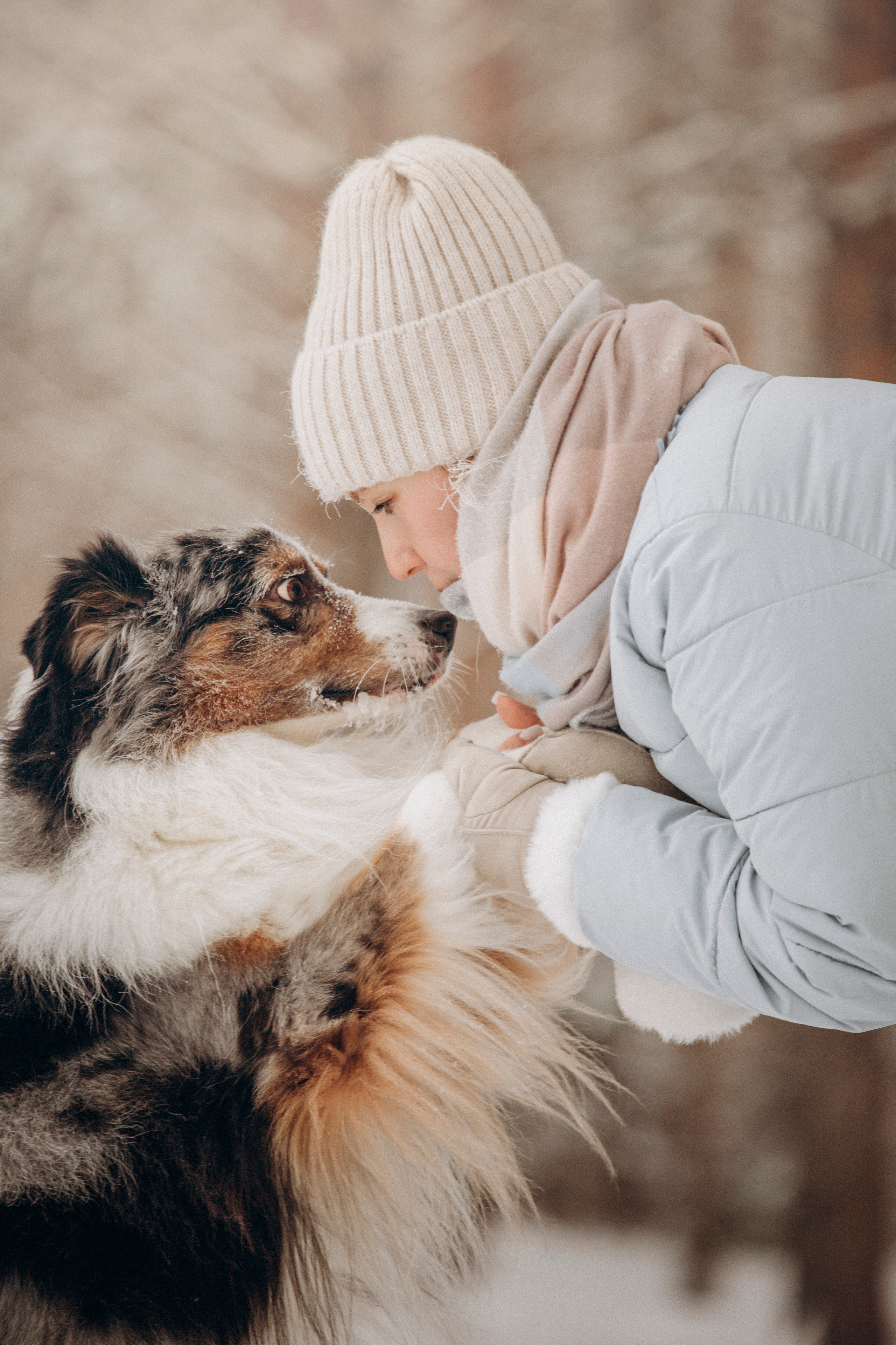Айк и его семья. Фотограф — Анималист | Санкт-Петербург